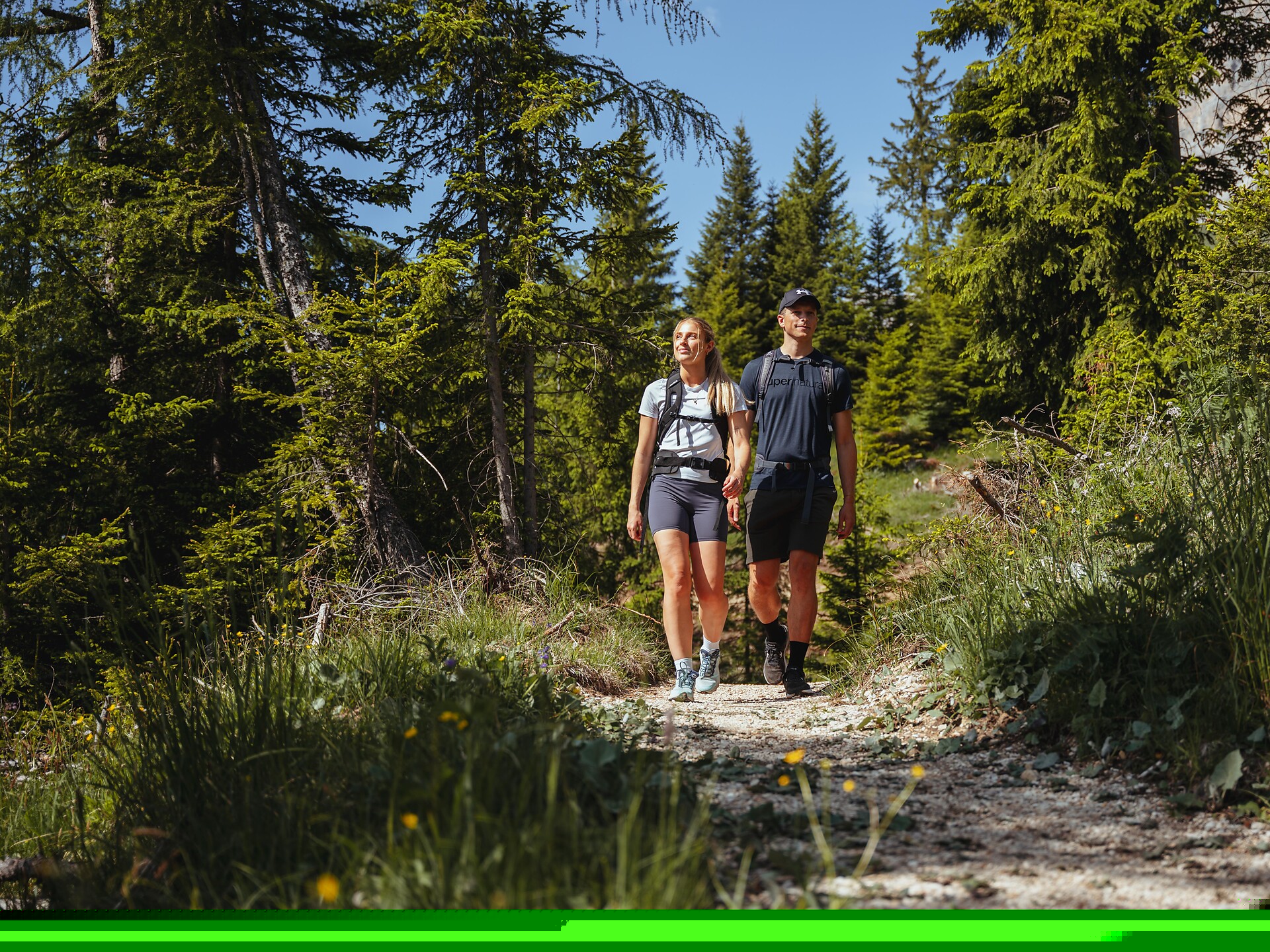 Escursione guidata sul Taltbühl - Regione dolomitica Alpe di Siusi - #1 - suedtirol.info