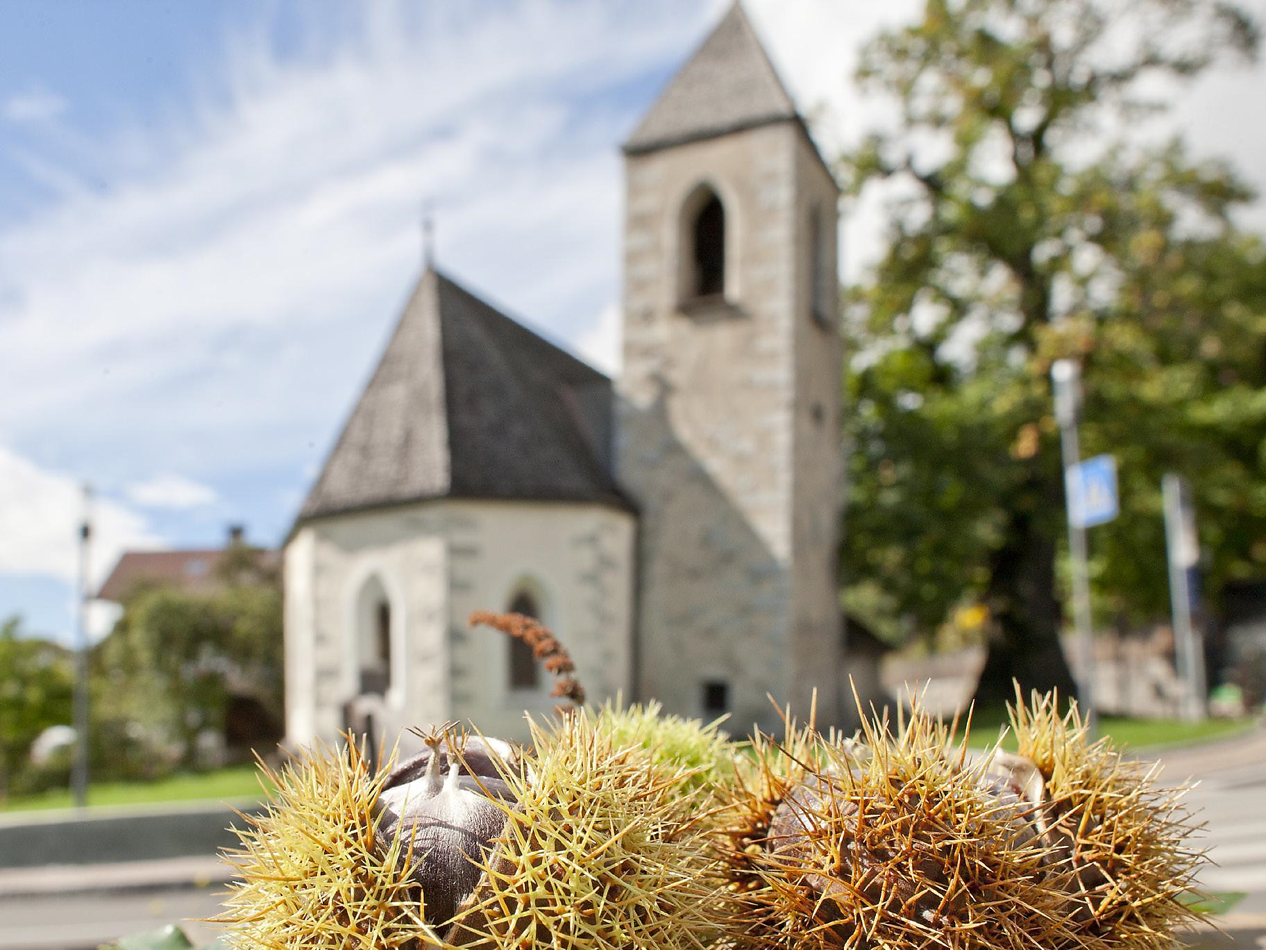Geführte Törggelewanderung in Feldthurns mit Einkehr im Buschenschank - Brixen und Umgebung - #3 - suedtirol.info