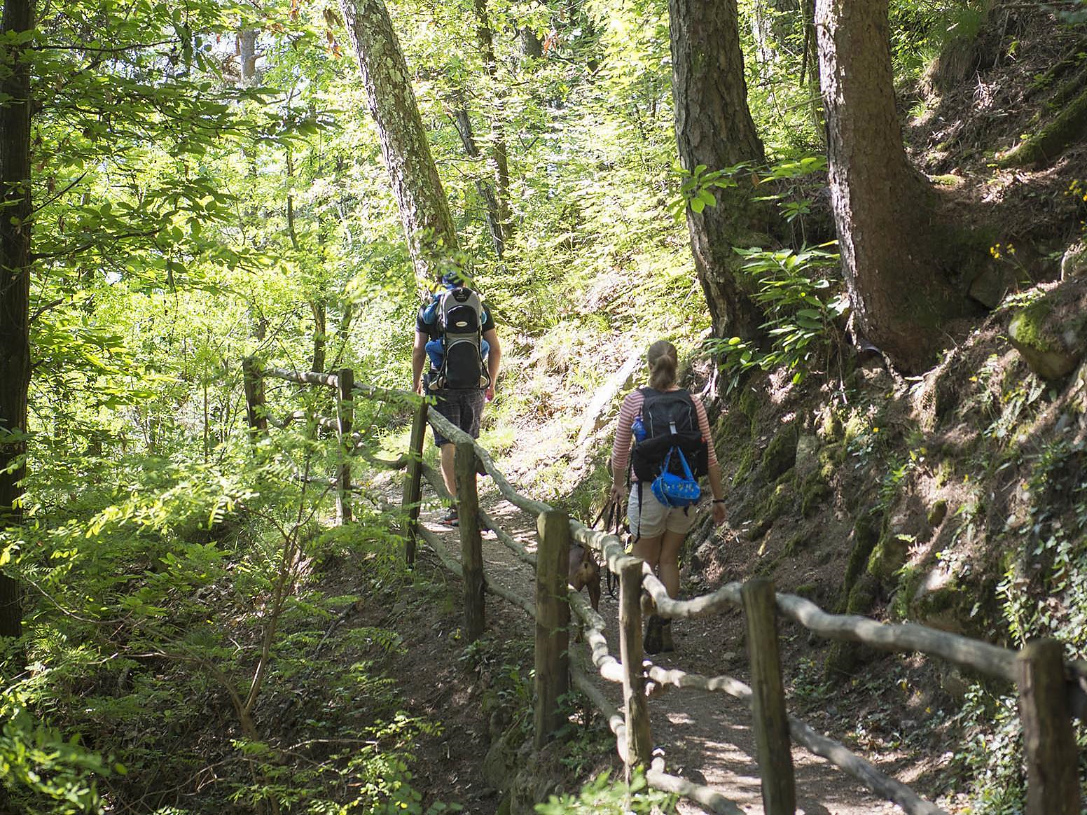 Geführte Gästewanderung: Entlang der Karlspromenade in Brixen - Meran und Umgebung - #1 - suedtirol.info