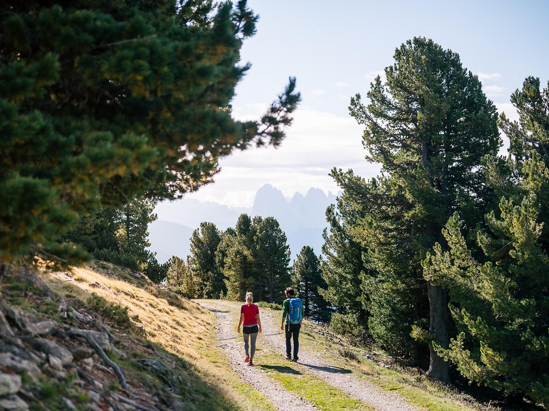 Escursione guidata panoramica sugli alpeggi di Lazfons e Velturno Velturno 2 suedtirol.info