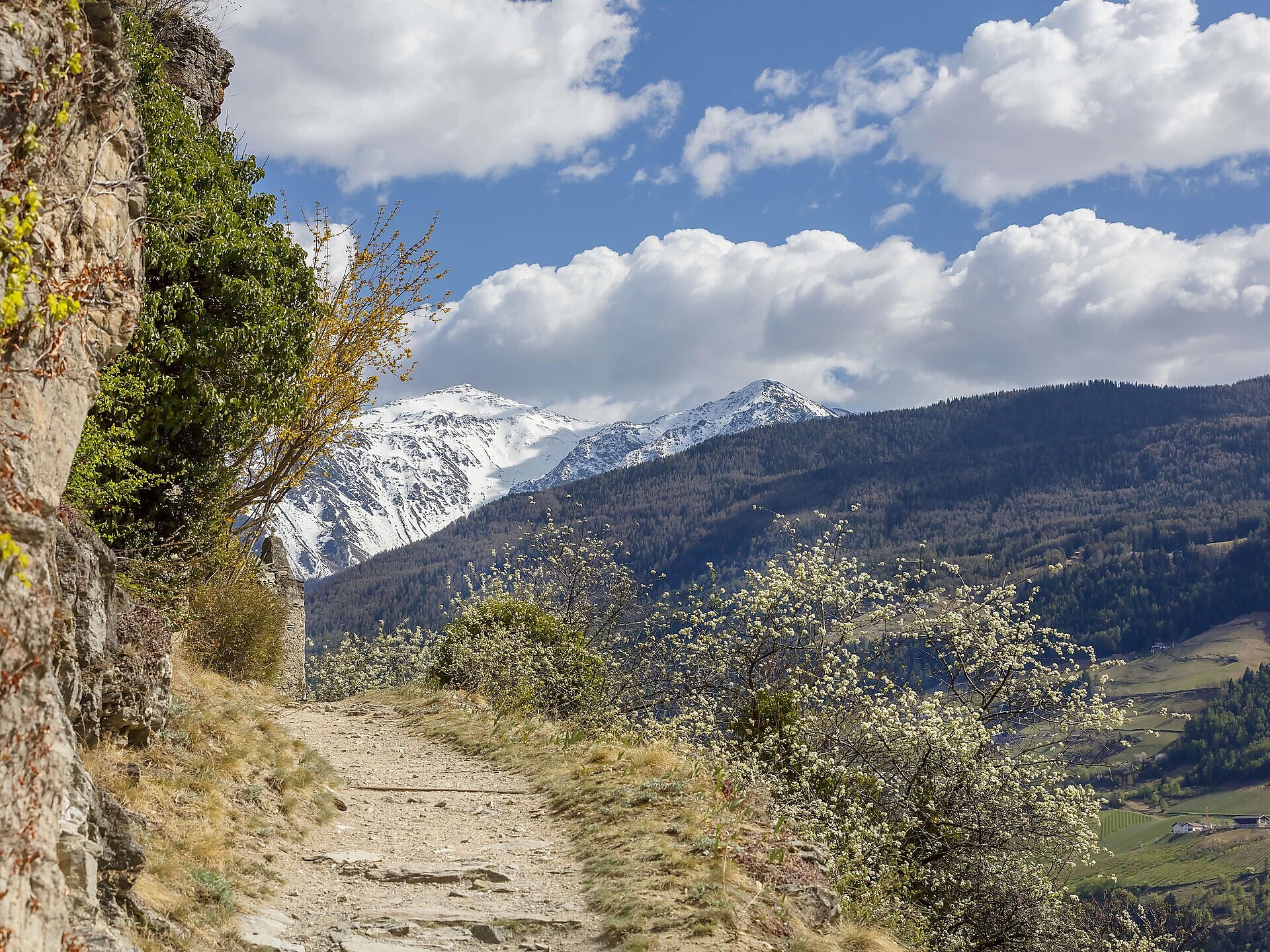 Geführte Wanderung am Vinschger Sonnenberg - Lernen Sie Flora und Fauna kennen - Vinschgau - #2 - suedtirol.info