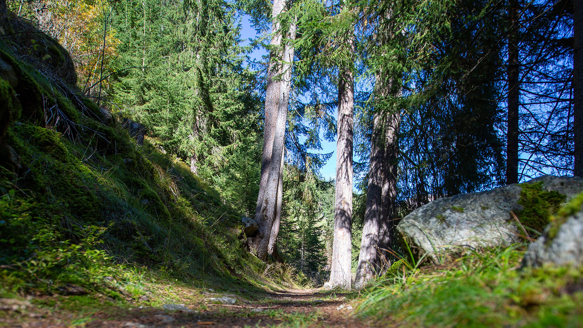 Al panorama di vetta dell’Hörneggele 2130 m in Val Casies -  - #3 - suedtirol.info