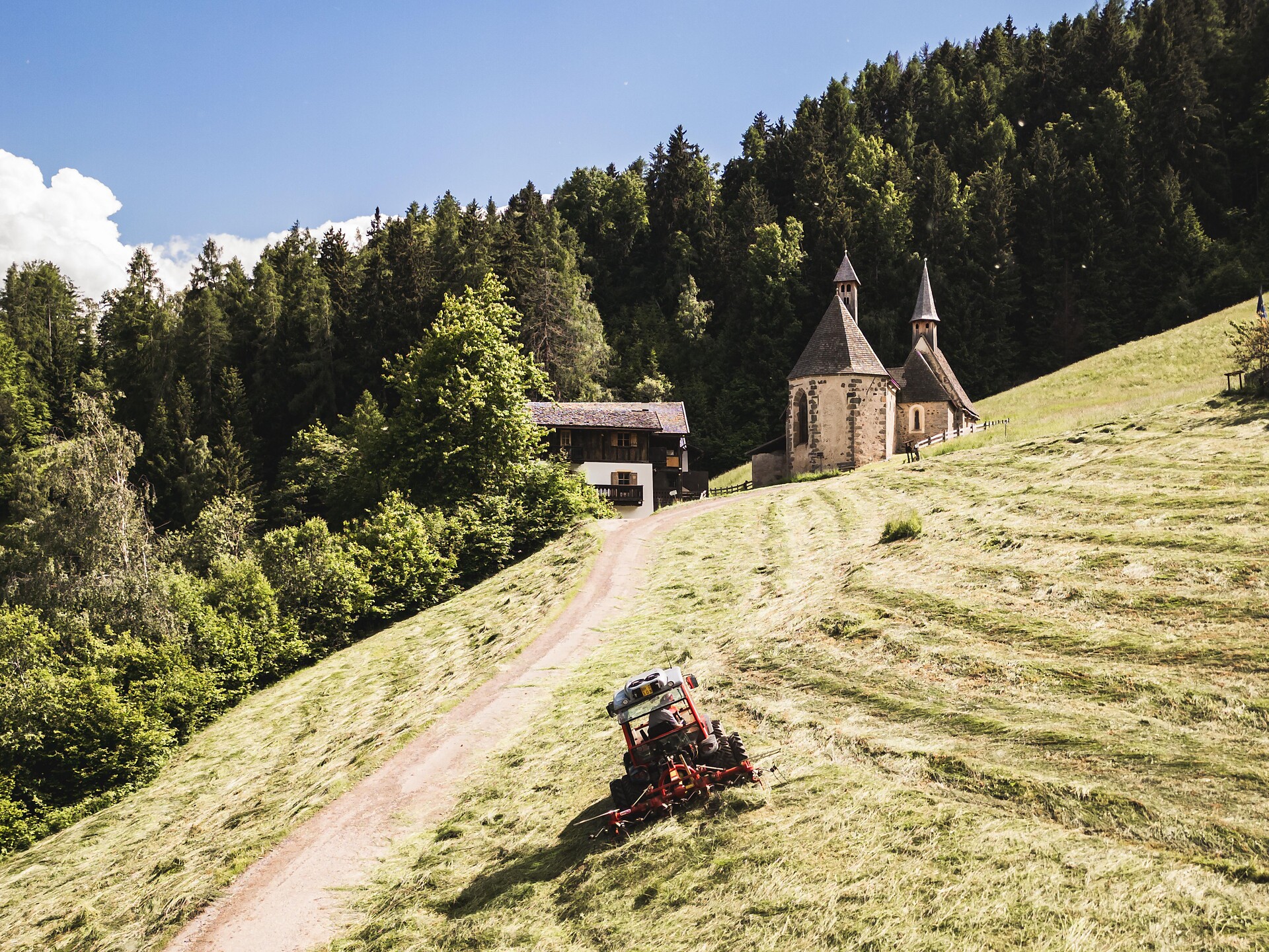 Geführte naturkundliche Frühlingswanderung nach Dreikirchen - Brixen und Umgebung - #1 - suedtirol.info