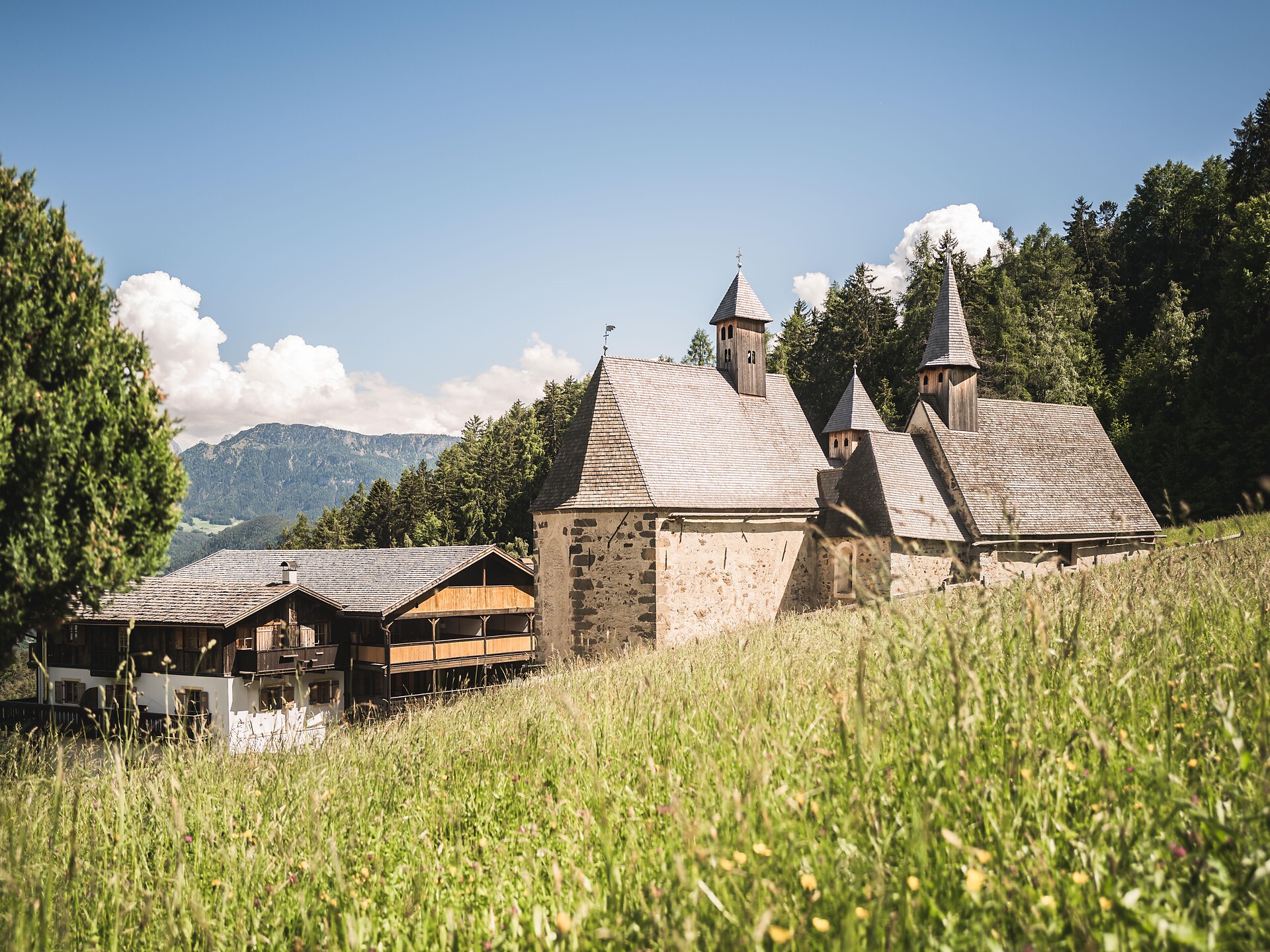 Geführte naturkundliche Frühlingswanderung nach Dreikirchen - Brixen und Umgebung - #2 - suedtirol.info