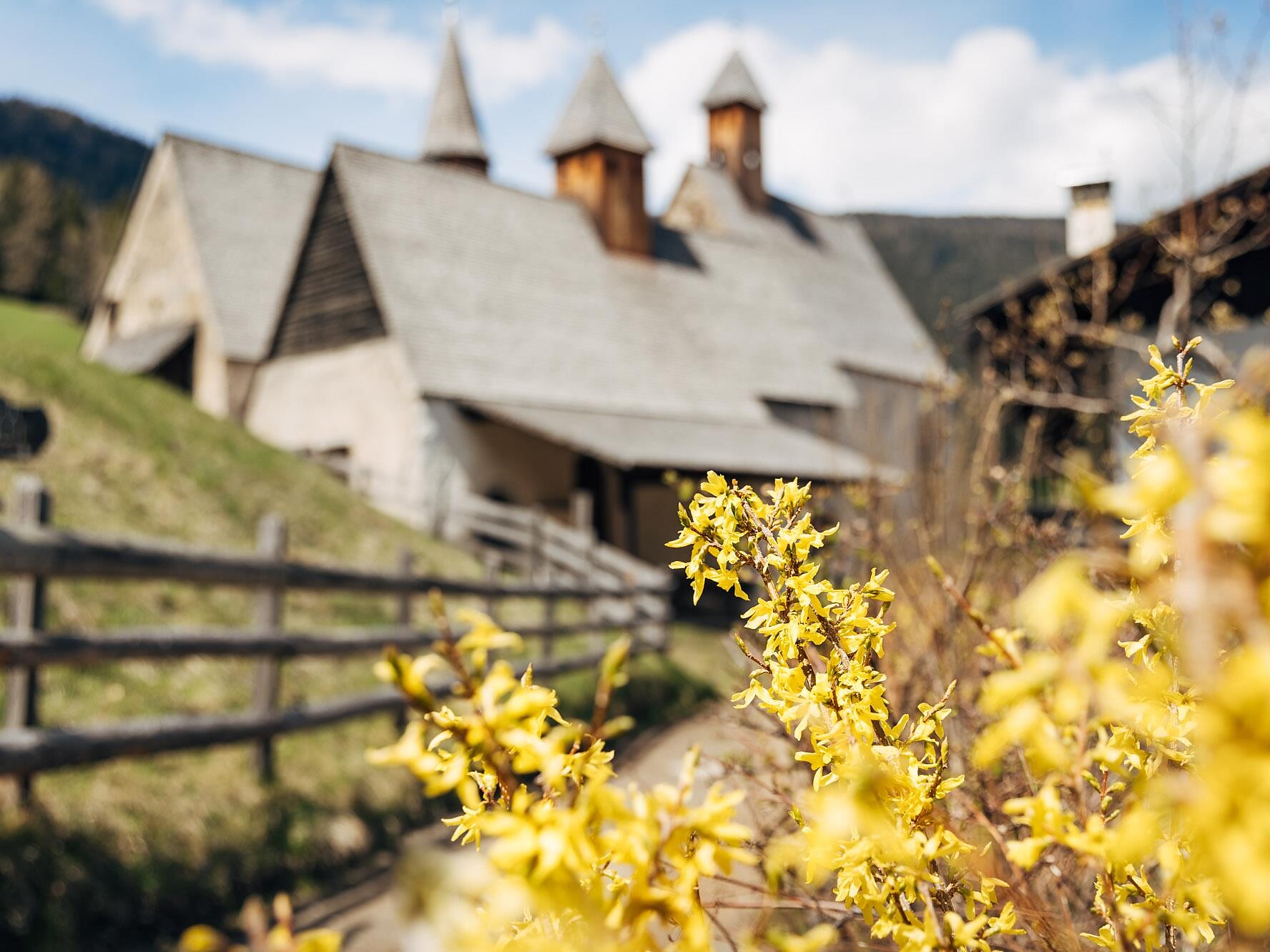 Natural spring hike to Dreikirchen - Brixen/Bressanone and environs - #1 - suedtirol.info