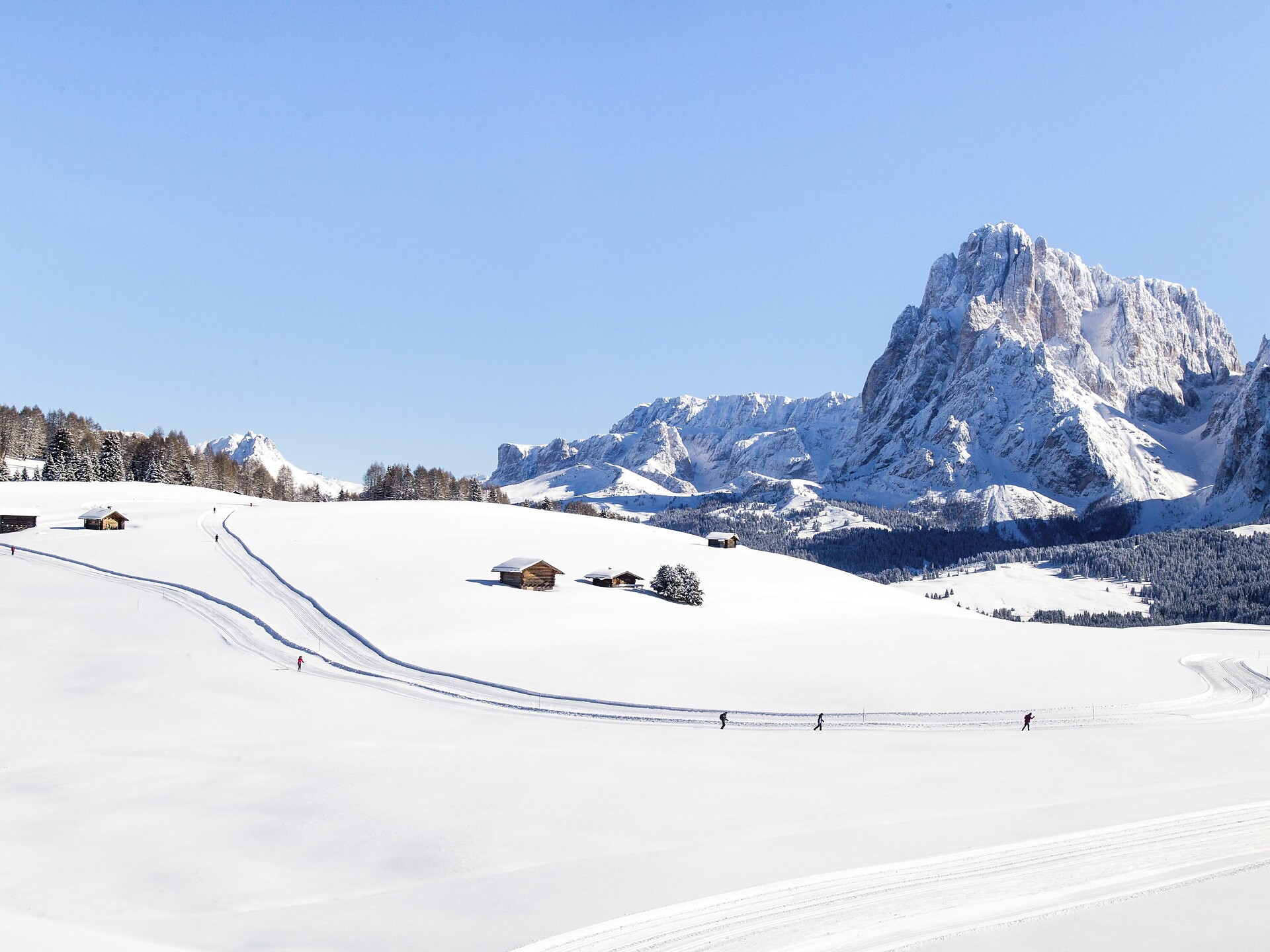 Guided hiking tour - Zallinger Hut Lajen/Laion 1 suedtirol.info