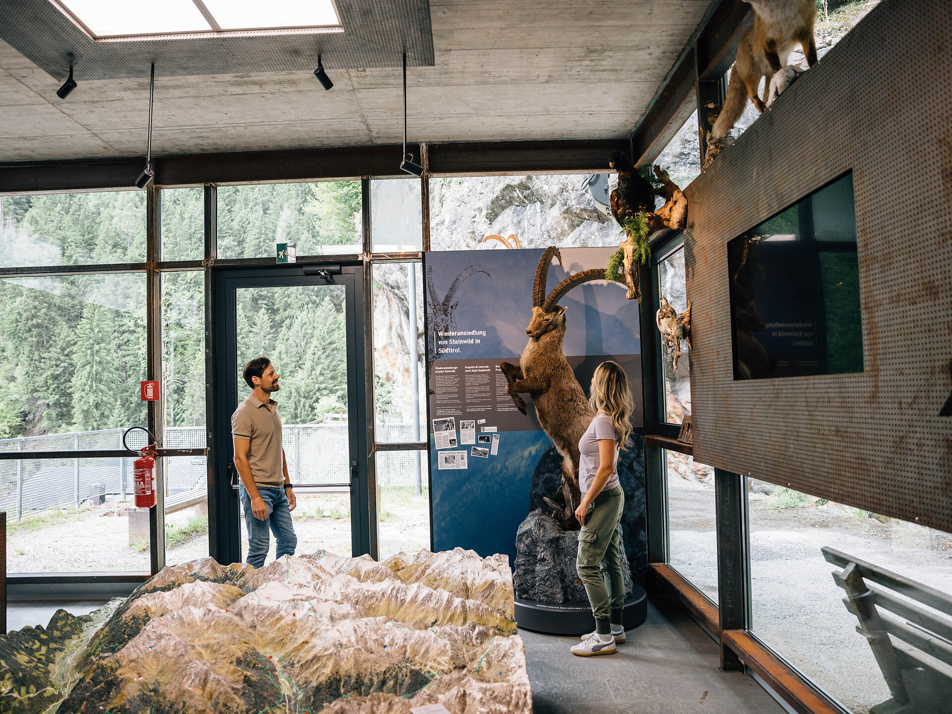 Guided ibex feeding with a visit to the Bunker Mooseum - Meran/Merano and environs - #3 - suedtirol.info