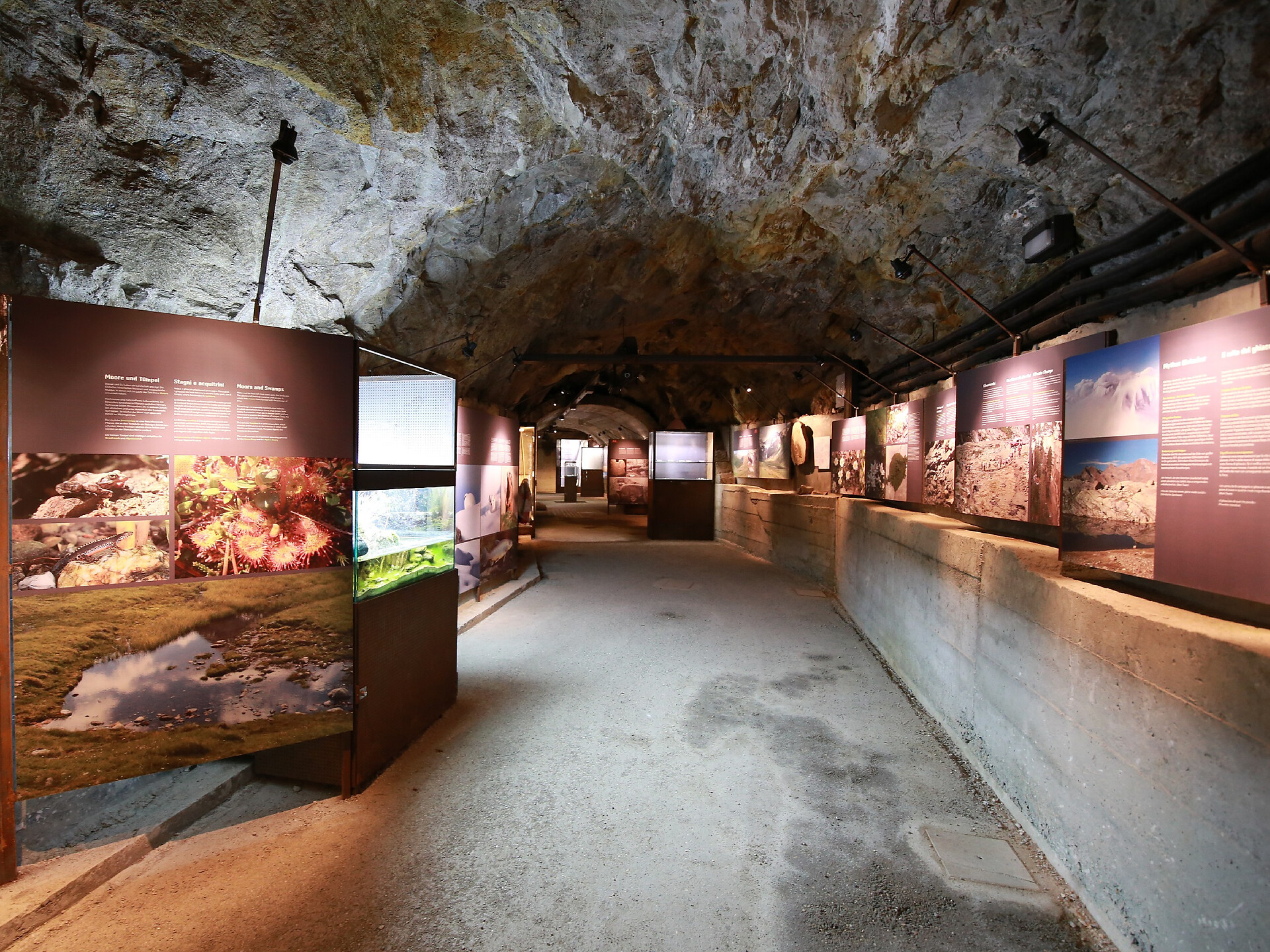 Guided ibex feeding with a visit to the Bunker Mooseum - Meran/Merano and environs - #2 - suedtirol.info