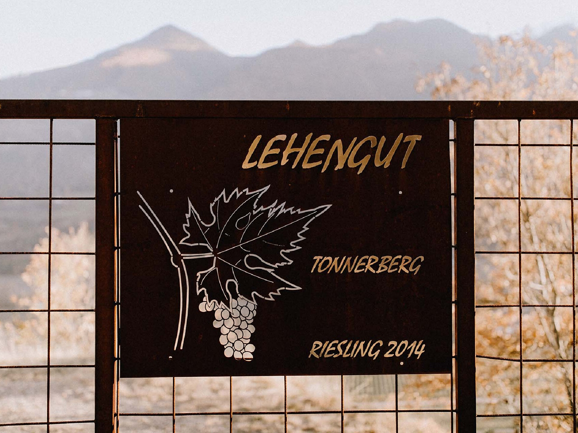 Autunno gourmet: Via Vinum Venostis - Viticoltura a Colsano: Tenuta Lehengut - Val Venosta - #1 - suedtirol.info