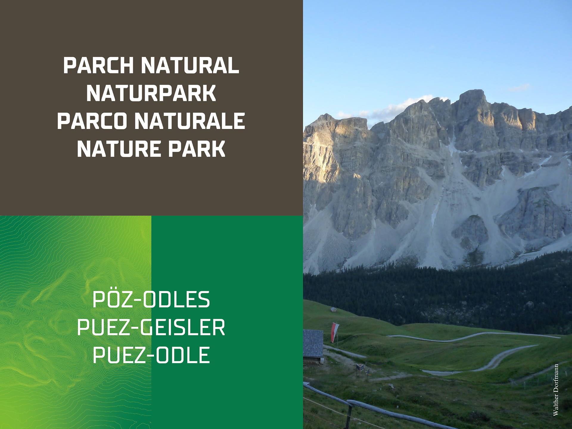 Guided hike: Blooming alpine flowers around Medalges - Dolomites Region Lüsen Villnöss - #1 - suedtirol.info