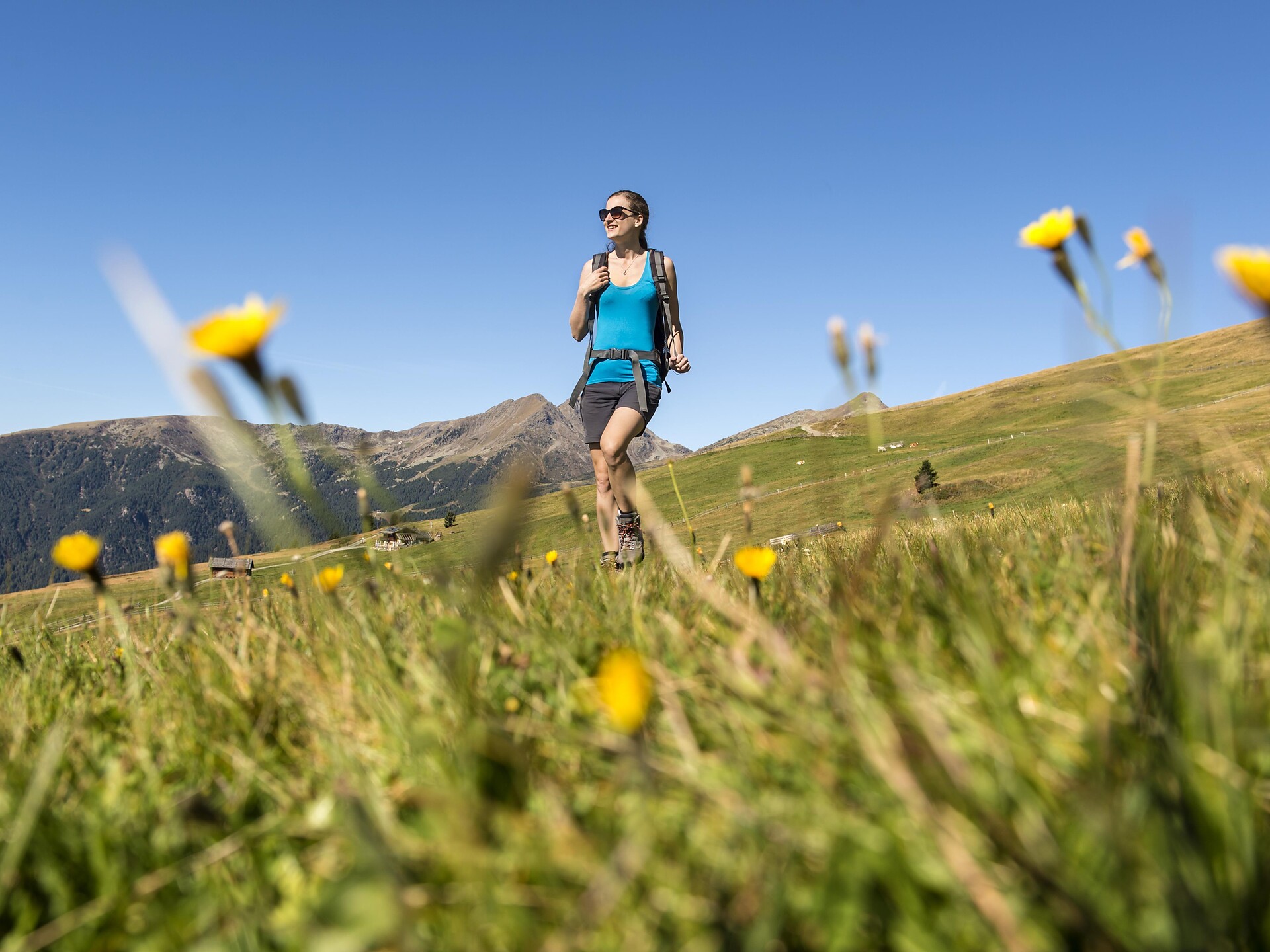 Guided panoramic hike to the Stöfflhütte hut Klausen/Chiusa 3 suedtirol.info