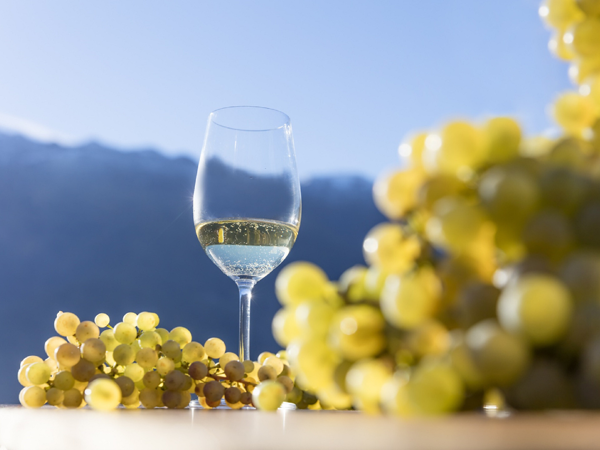 Autunno Gourmet: Wine & Dine all' Hotel Schulerhof**** - Merano e dintorni - #2 - suedtirol.info