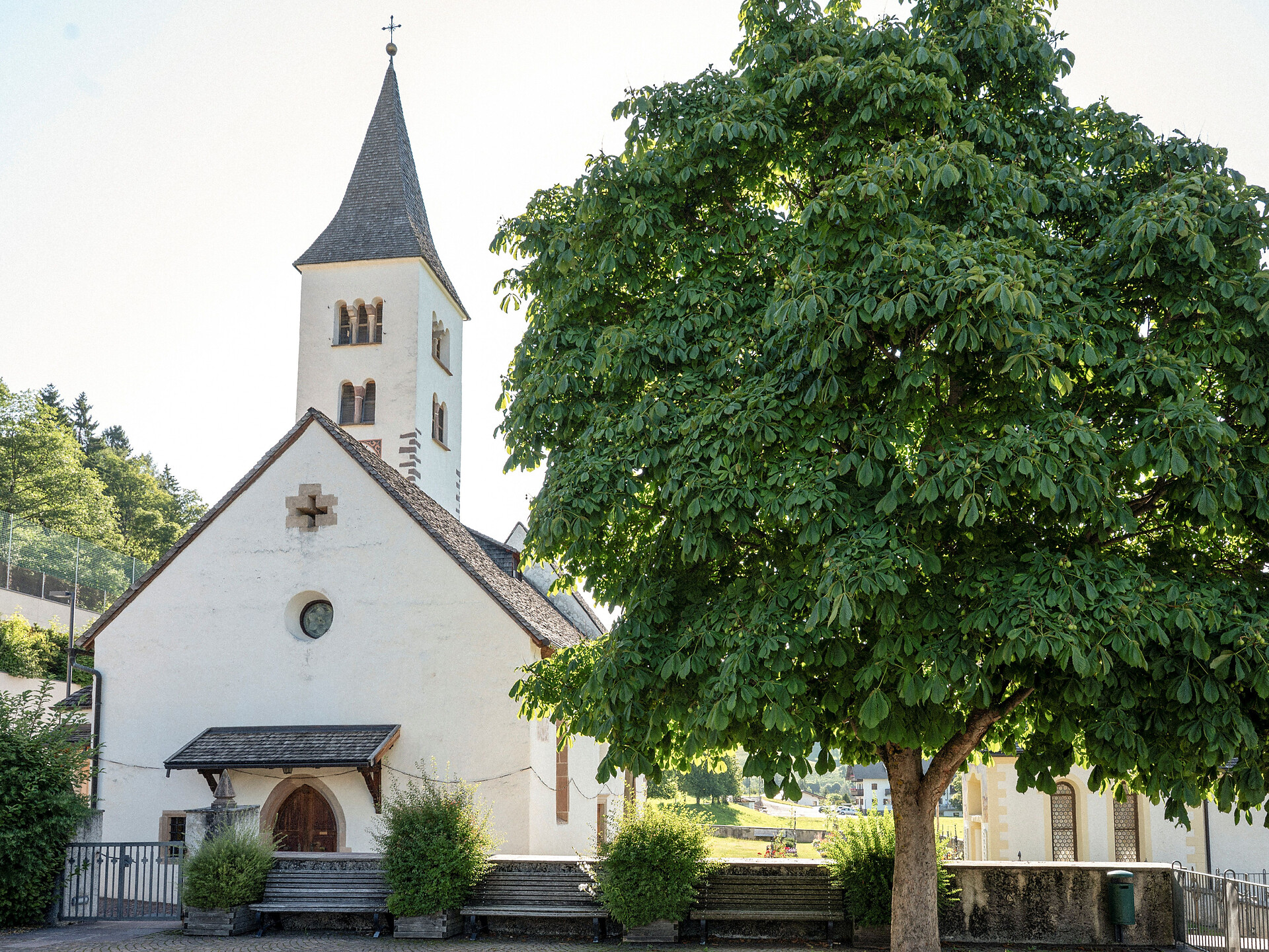 Guided hike "Rittner Schelmsteig" - Meran/Merano and environs - #1 - suedtirol.info