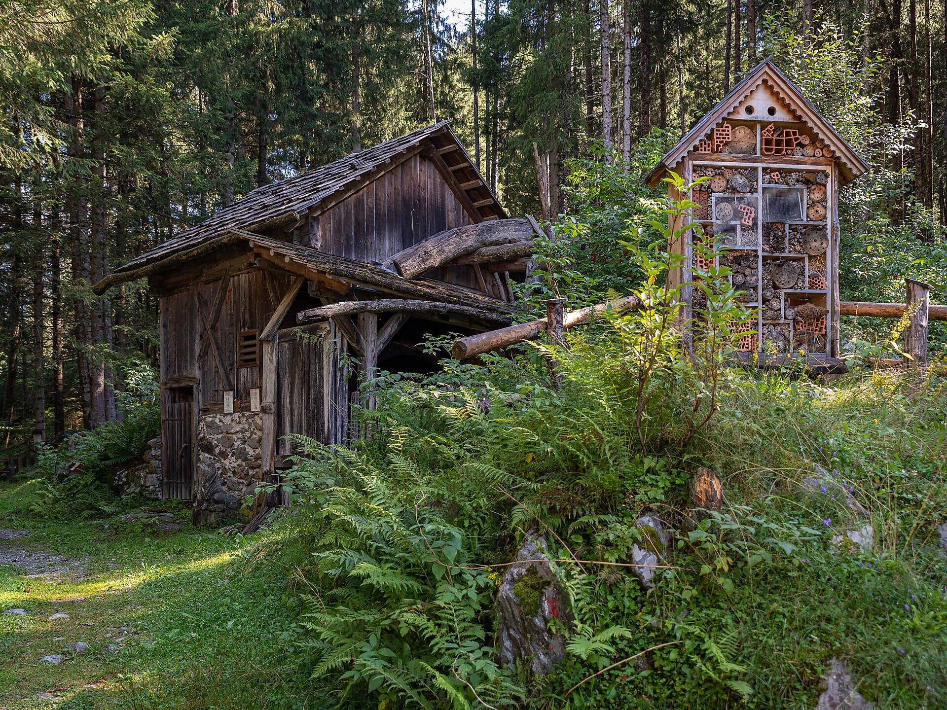 Scenic hike with Gilbert: farm trail & rural culture in Antholz Valley - Dolomites Region Kronplatz/Plan de Corones - #3 - suedtirol.info