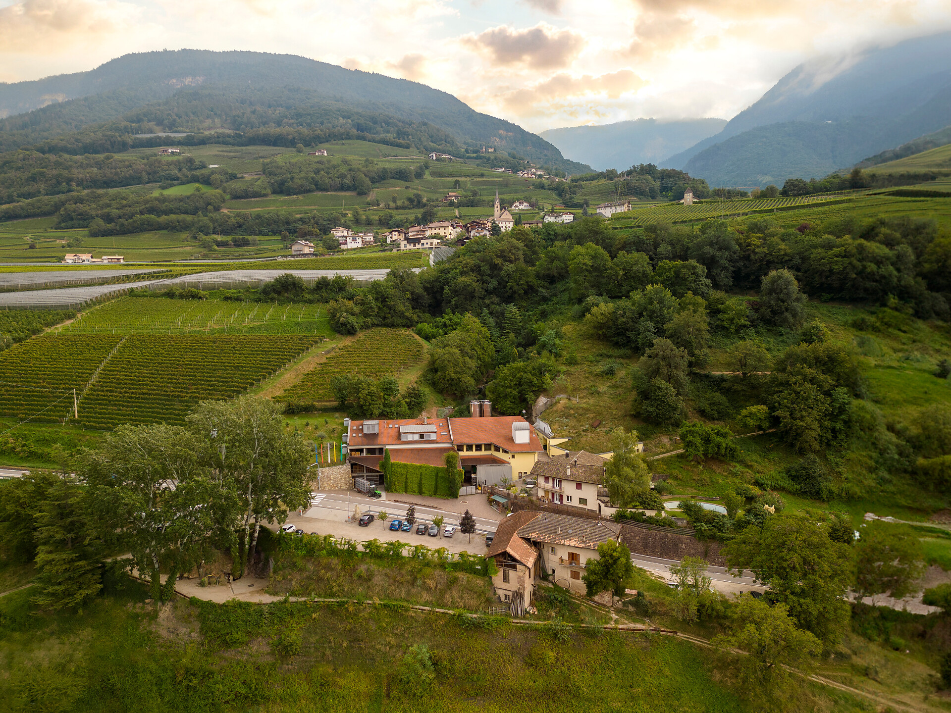 Autunno gourmet: Degustazione serale con la tenuta vinicola Weingut Franz Haas W - Merano e dintorni - #1 - suedtirol.info