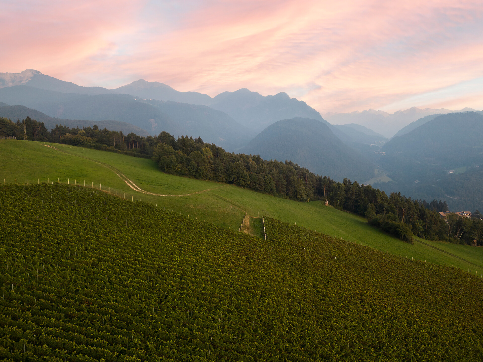 Autunno gourmet: Degustazione serale con la tenuta vinicola Weingut Franz Haas W - Merano e dintorni - #3 - suedtirol.info