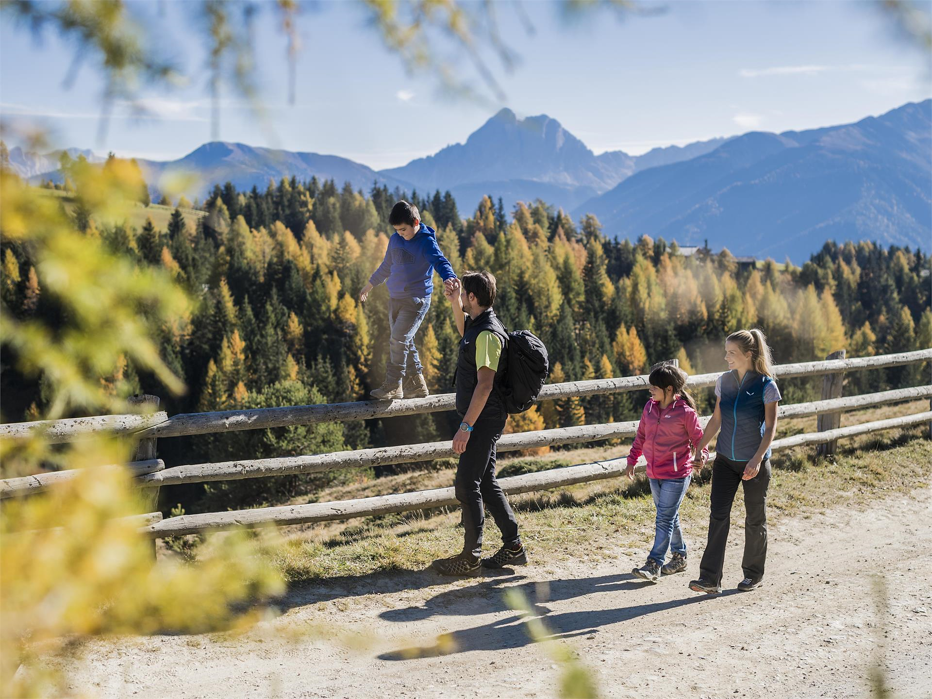 Guided alpine hike - Brixen/Bressanone and environs - #3 - suedtirol.info