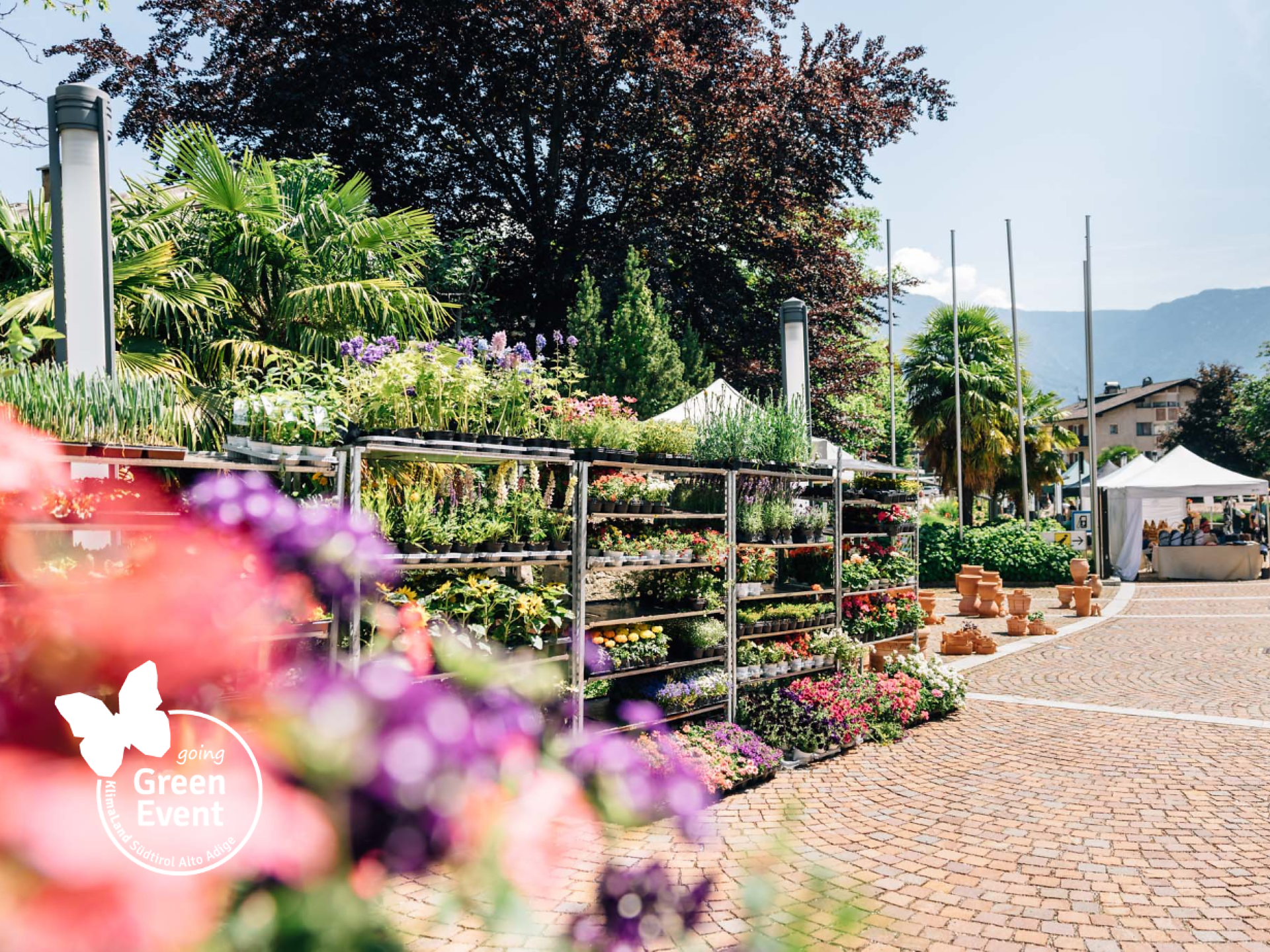 Gardenflair Algund - Merano e dintorni - #1 - suedtirol.info