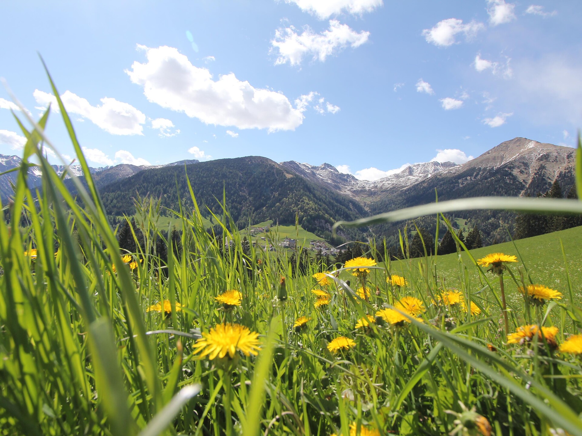 Geführte Wanderung - Meran und Umgebung - #1 - suedtirol.info