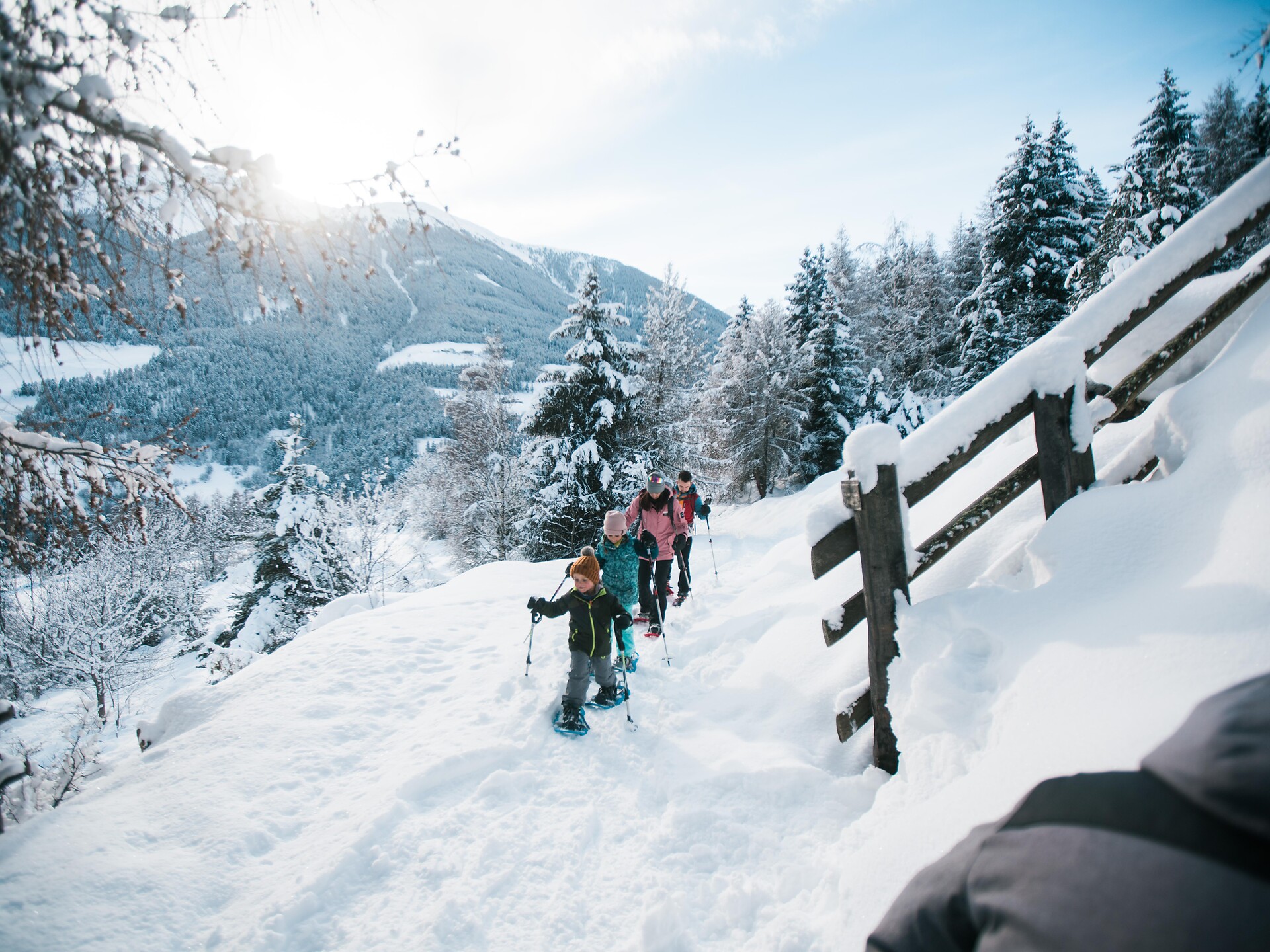 Esursione guidate con giaspole nel Parco Nazionale dello Stelvio Stelvio 3 suedtirol.info