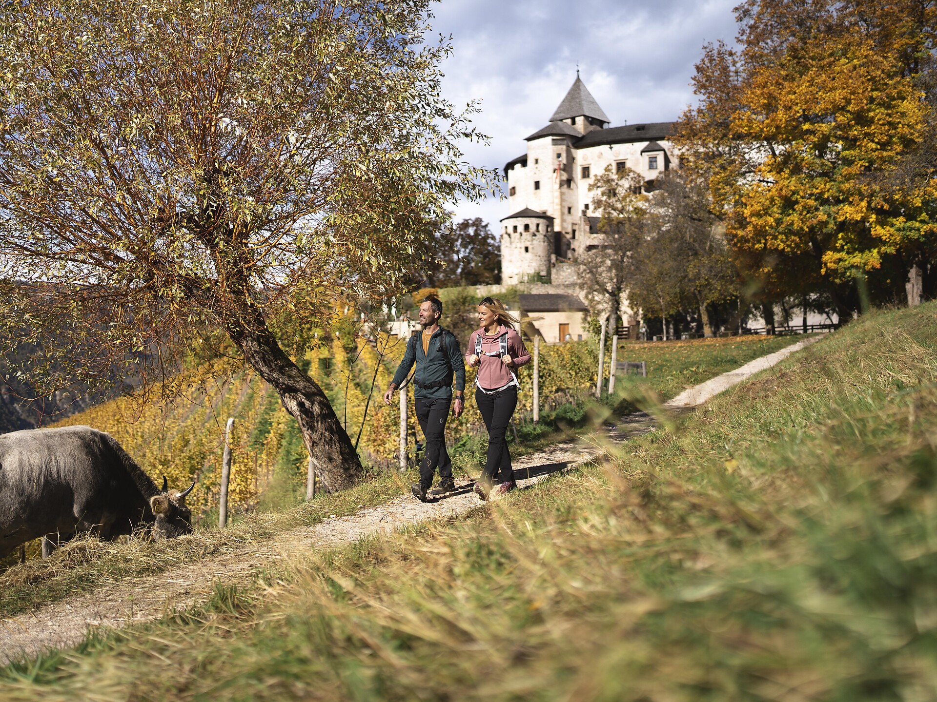 Geführte Wanderung auf dem Oachner Höfeweg - Dolomitenregion Seiser Alm - #1 - suedtirol.info