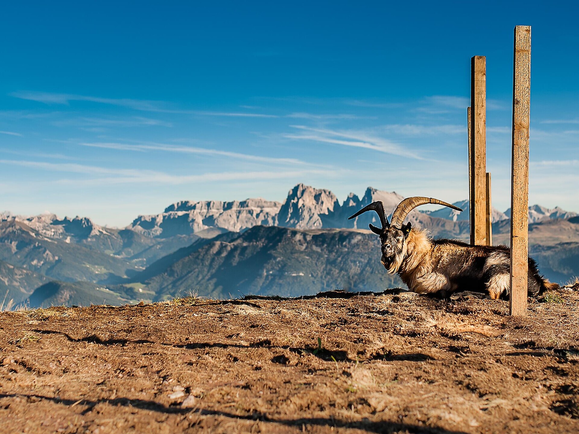 Geführte Dolomitenwanderung am Karersee und Perlenweg - Südtiroler Weinstraße - #2 - suedtirol.info
