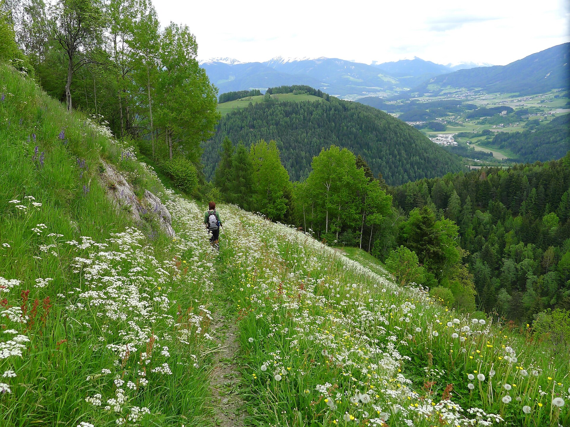 Geführte Rundwanderung "GRÜN IST WUNDERBAR" Kiens 3 suedtirol.info