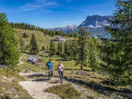 An endless panorama - To the Col Plö Alt summit in the Puez-Odle Nature Park Badia 1 suedtirol.info