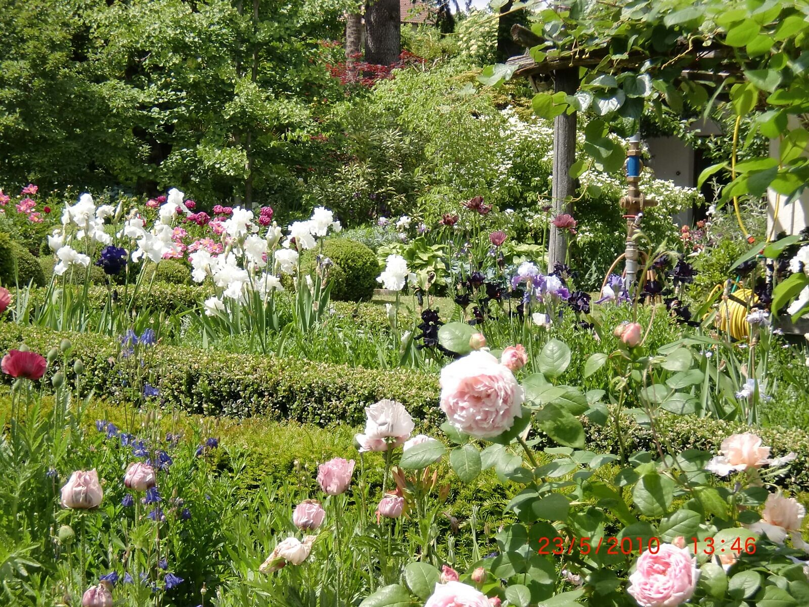 Garten am Kilianhof - Gartenliebe Andrian & Terlan 2026 - Südtiroler Weinstraße - #1 - suedtirol.info