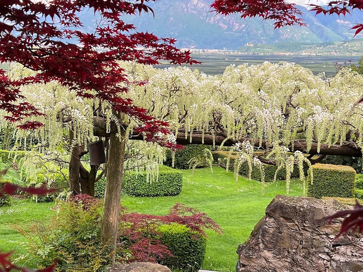 Garten am Kilianhof - Gartenliebe Andrian & Terlan 2026 - Südtiroler Weinstraße - #2 - suedtirol.info