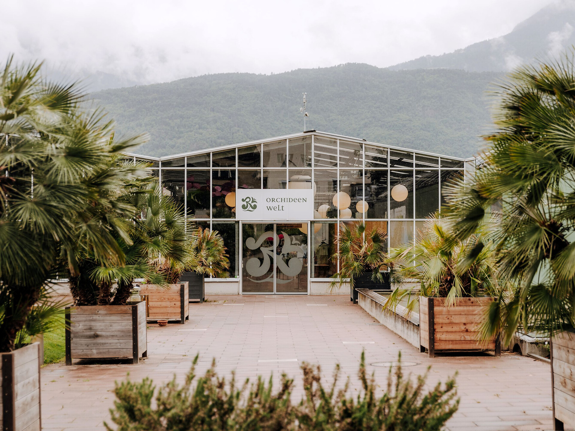 Grill Buffet - Orchidea, Genuss in schönster Lage! - Meran und Umgebung - #1 - suedtirol.info