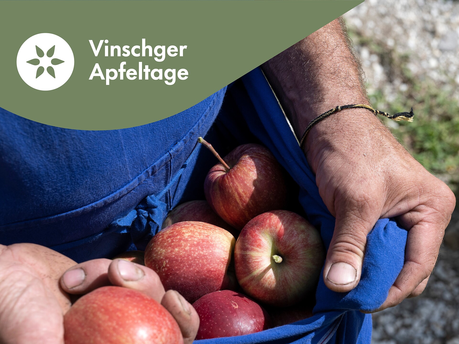 Enjoyment pairings around the apple - Meran/Merano and environs - #1 - suedtirol.info