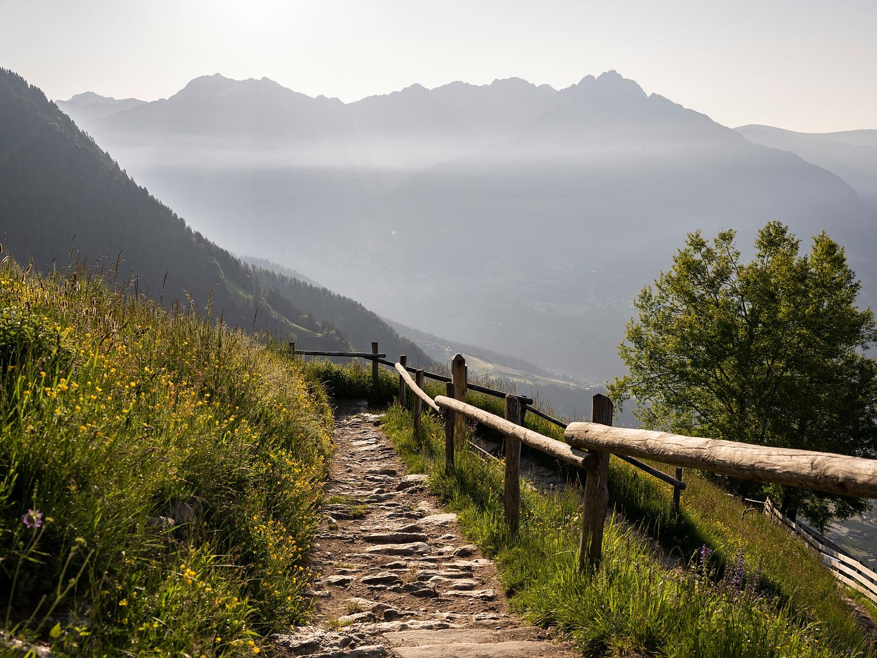 Geführte Gästewanderung: Auf der Villanderer Alm - Meran und Umgebung - #1 - suedtirol.info