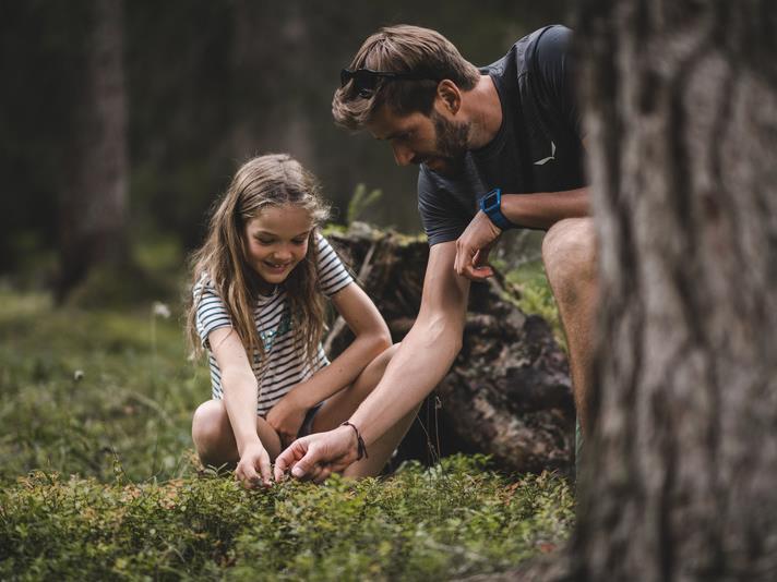 Geheimnisse des Waldes Villnöss 1 suedtirol.info
