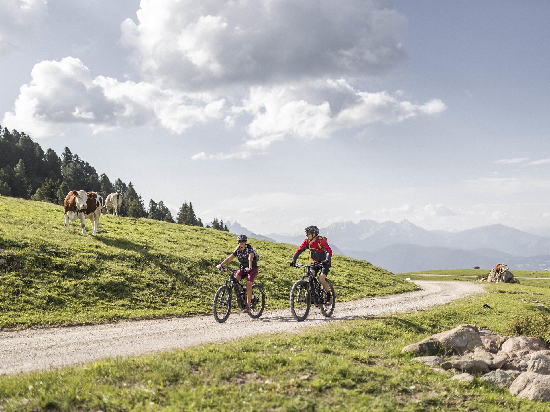 Tour guidata in e-bike con Manuel o Dominik Renon 1 suedtirol.info