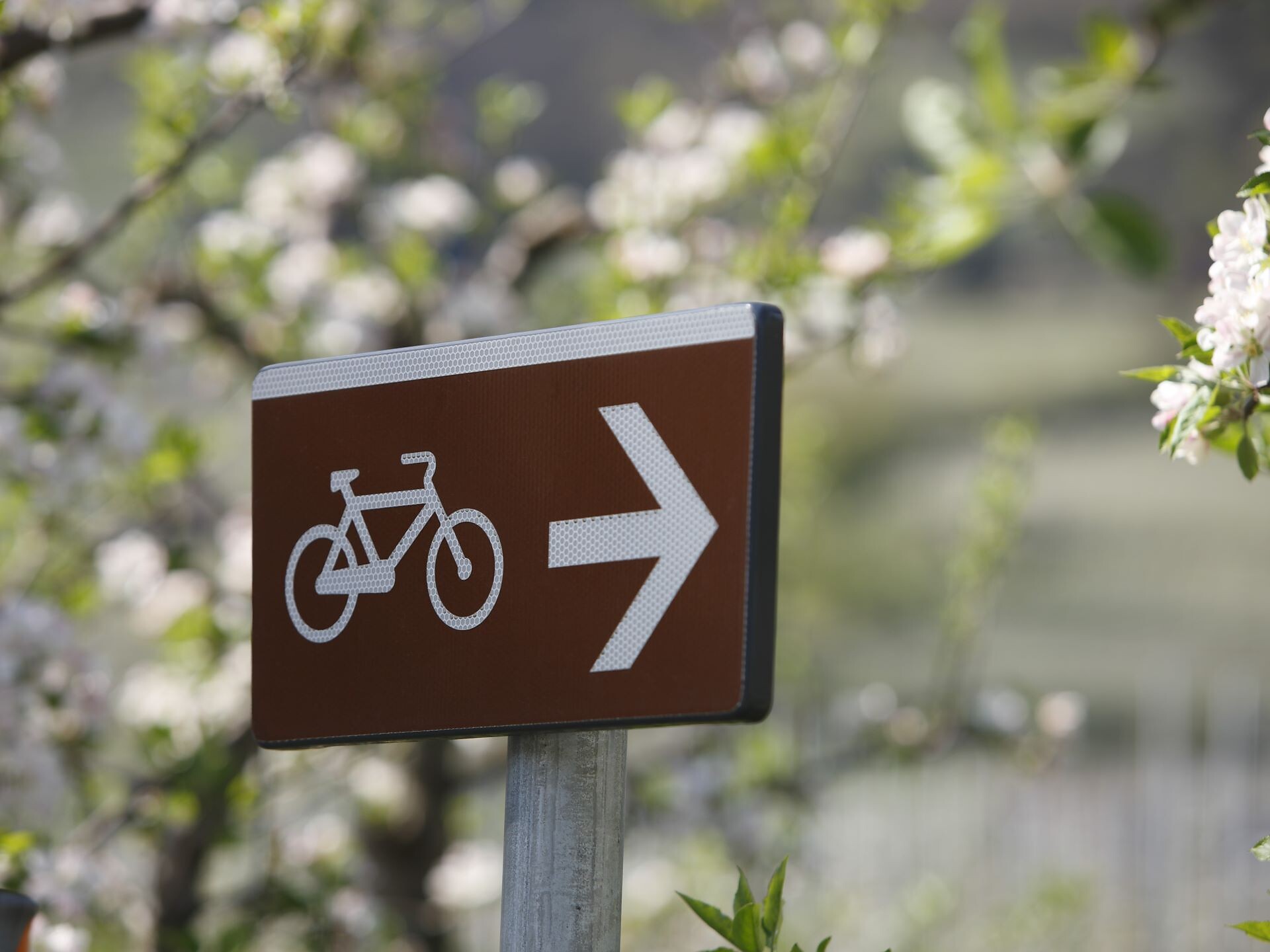 Guided E-Bike Delight Tour - Brixen/Bressanone and environs - #3 - suedtirol.info