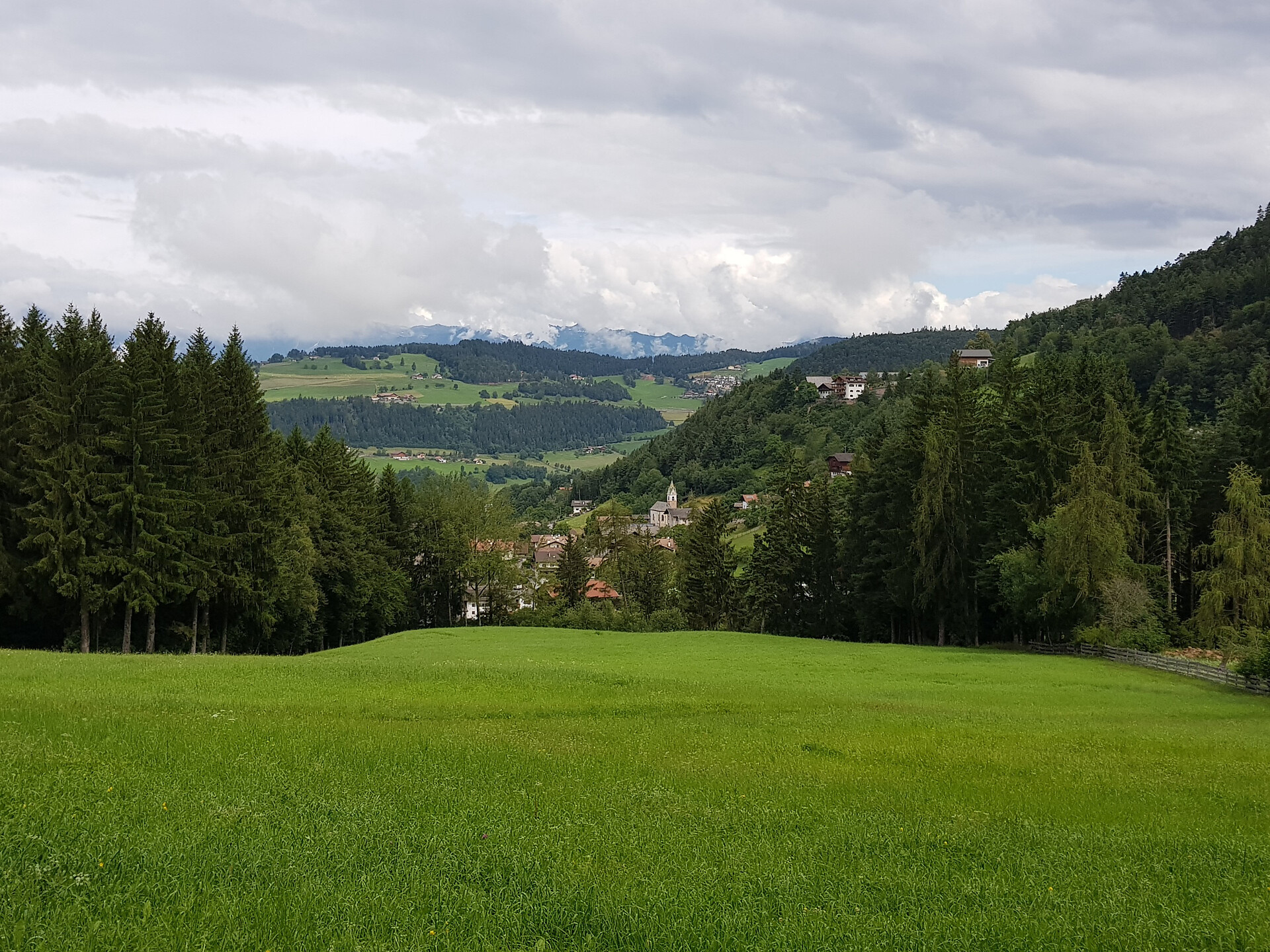 Escursione guidata "Salto-Frassineto-Tschaufen-Langfenn" - Merano e dintorni - #2 - suedtirol.info