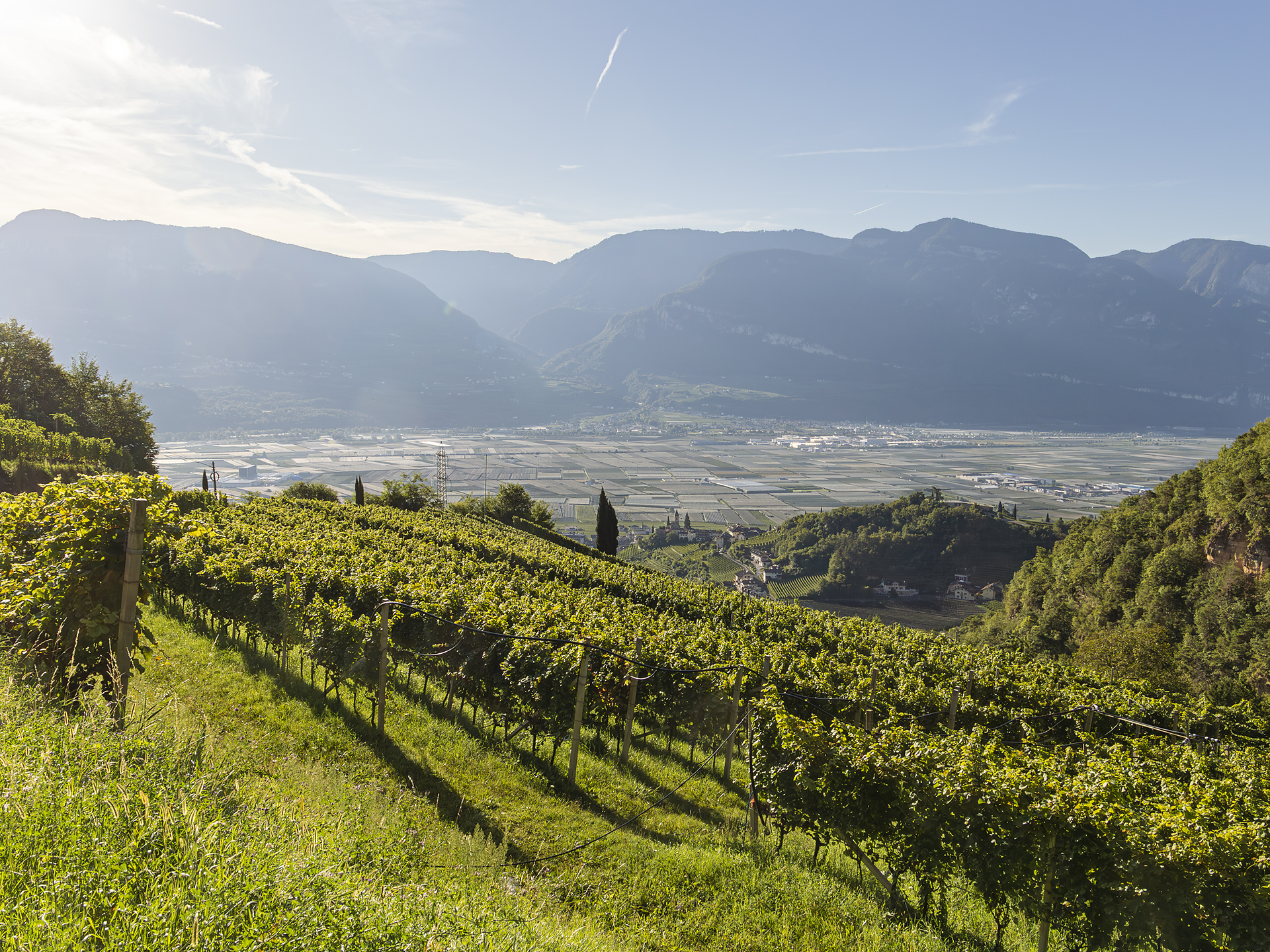 Escursione guidata nella Valle dell'Inferno di Termeno – Zogglerwiese - Strada del Vino - #1 - suedtirol.info