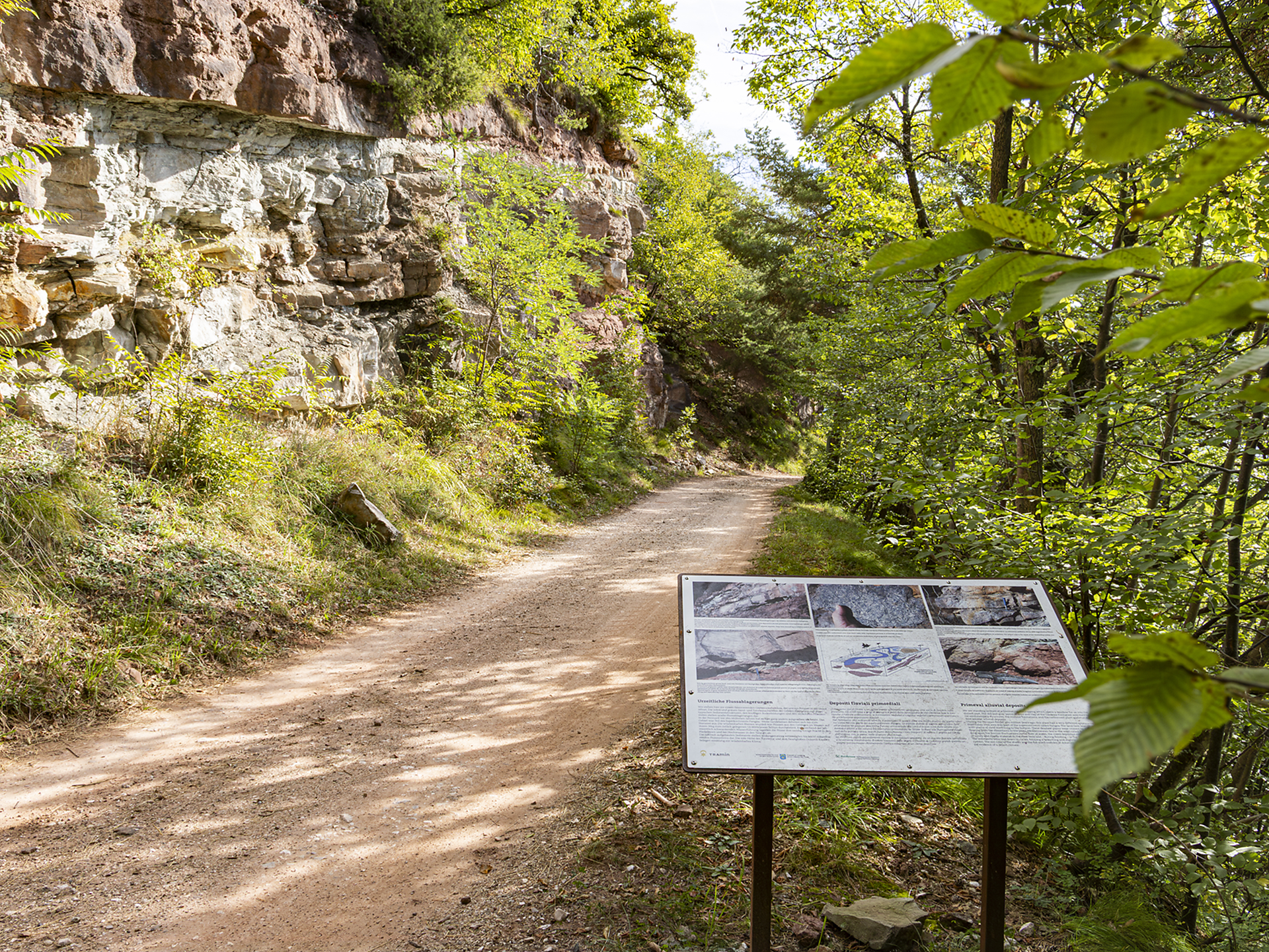Escursione guidata nella Valle dell'Inferno di Termeno – Zogglerwiese - Strada del Vino - #3 - suedtirol.info