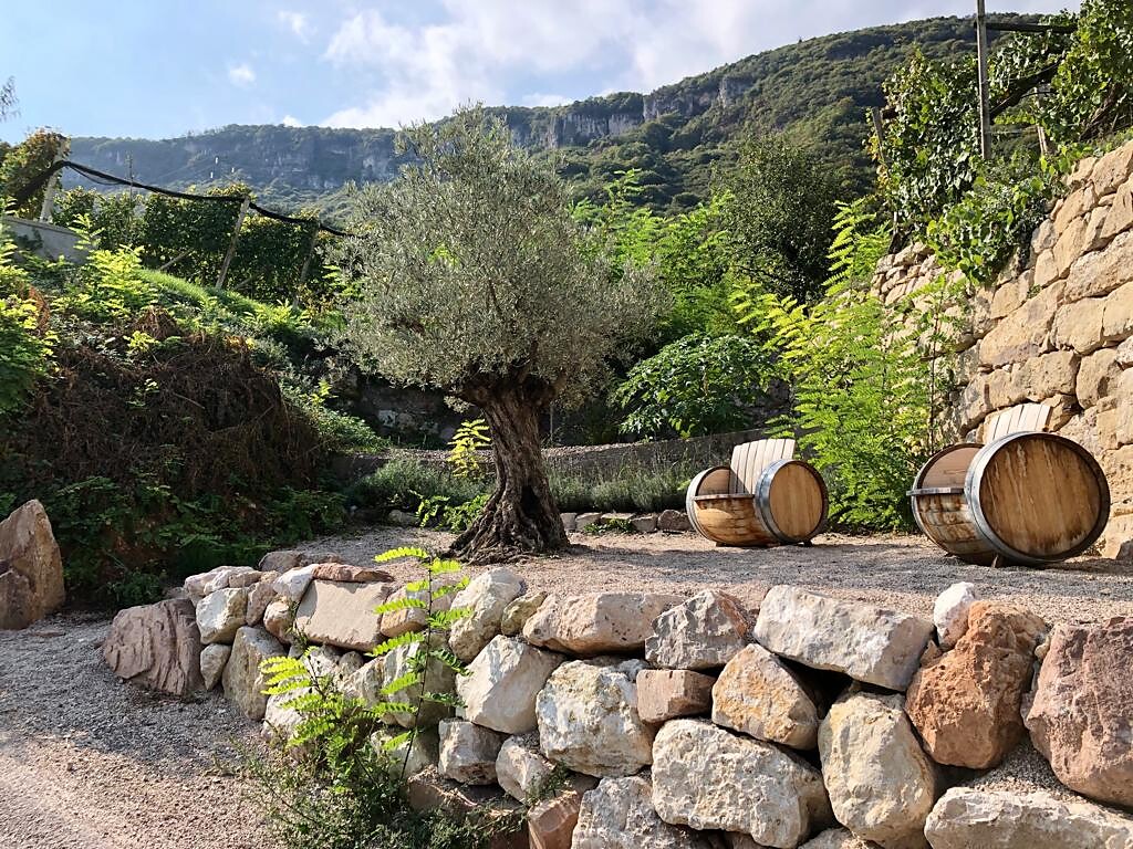 Geführte Weinwanderung "Auf den Spuren des Gewürztraminer" - Südtiroler Weinstraße - #1 - suedtirol.info