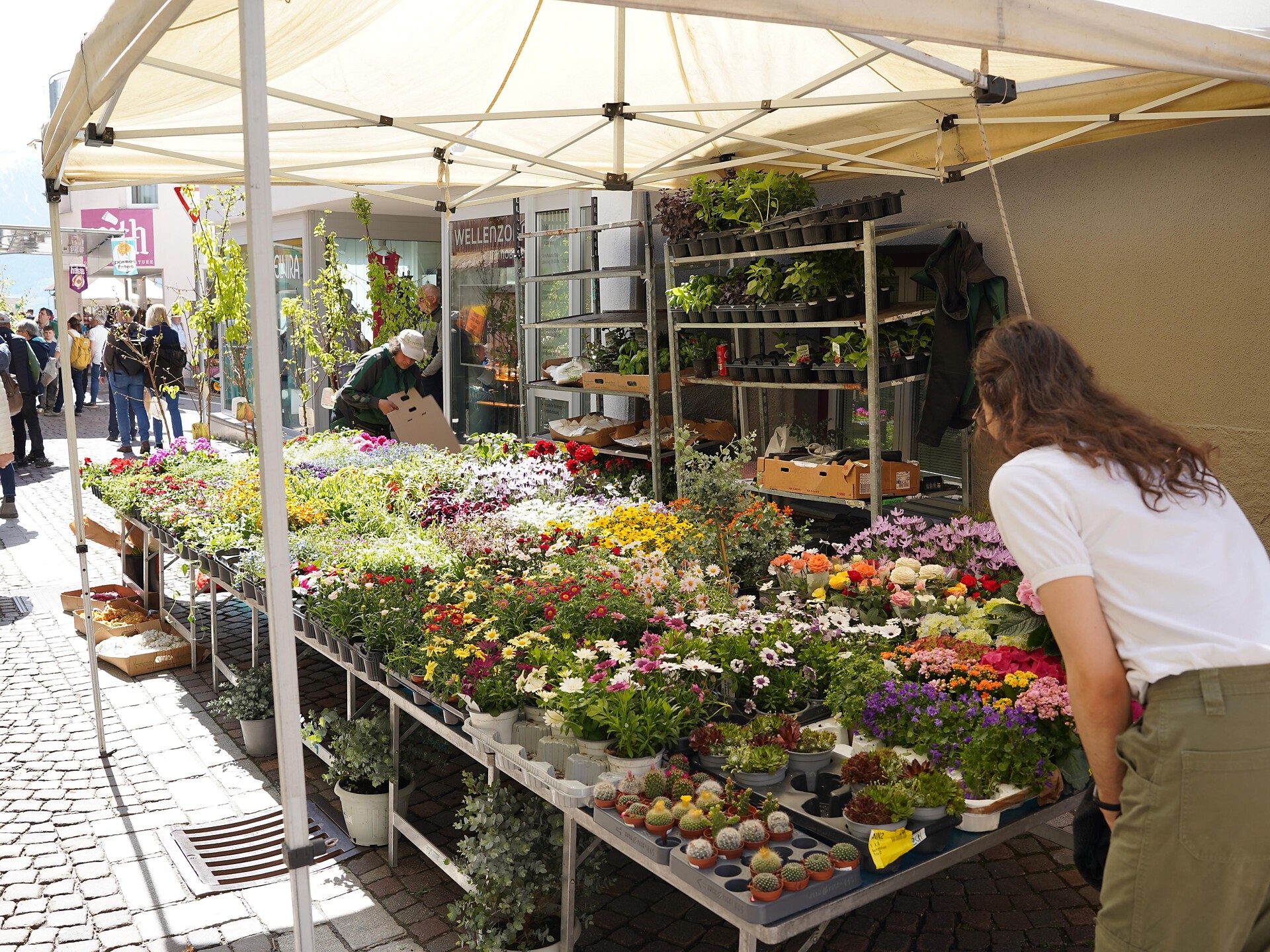 Mercato Georgi a Malles - Val Venosta - #2 - suedtirol.info