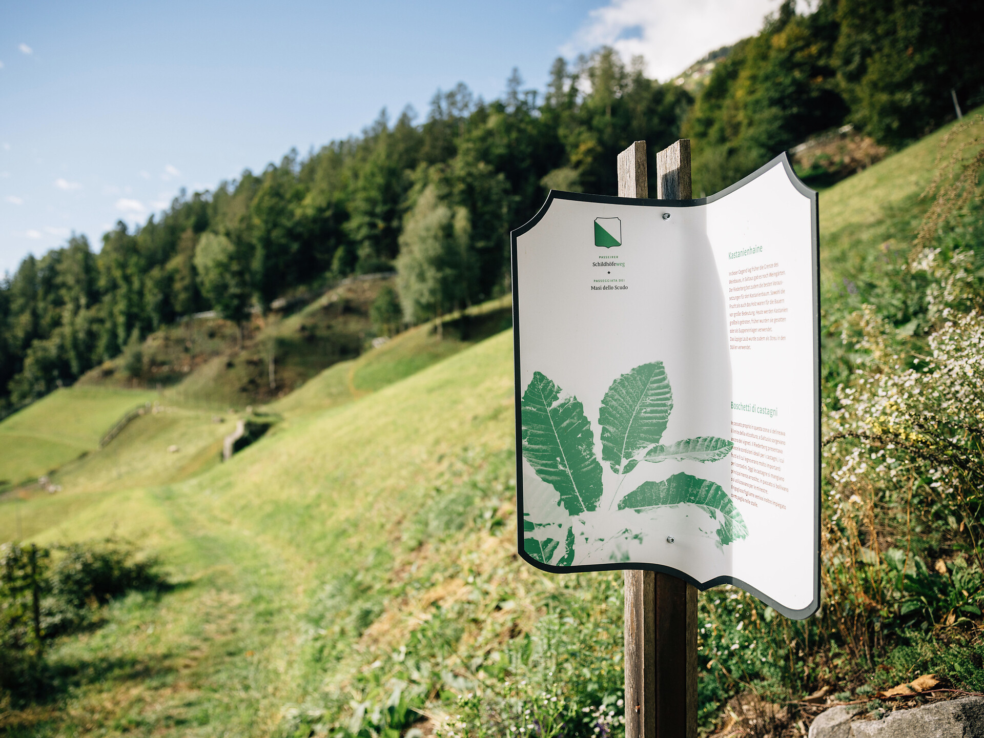 Geführte Wanderung zu den Schildhöfen mit Mittagessen - Meran und Umgebung - #1 - suedtirol.info