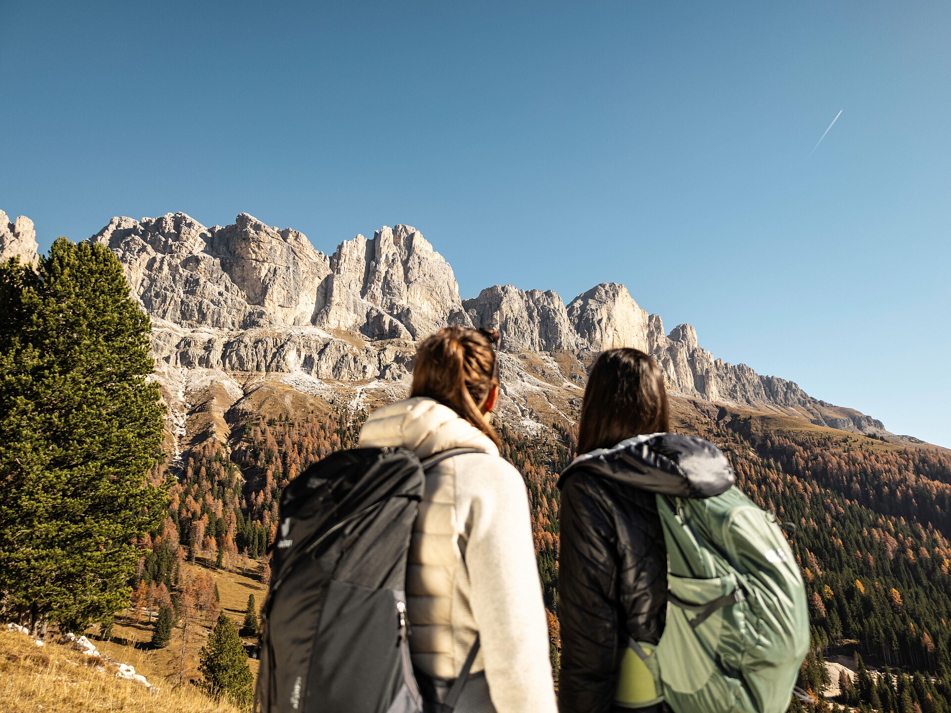 Escursione guidata attraverso prati e ai piedi del Catinaccio - Regione dolomitica Val d'Ega - #3 - suedtirol.info