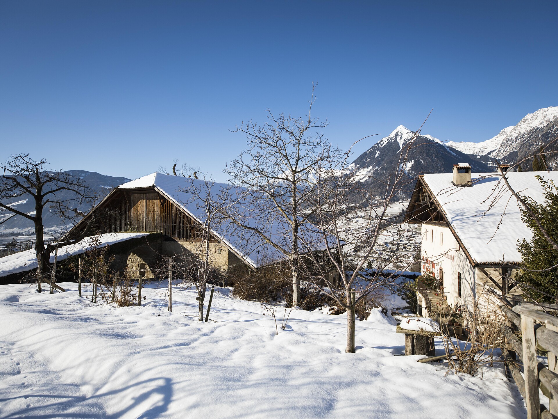 Geführte Winterwanderungen des Schenna Resorts - Meran und Umgebung - #2 - suedtirol.info