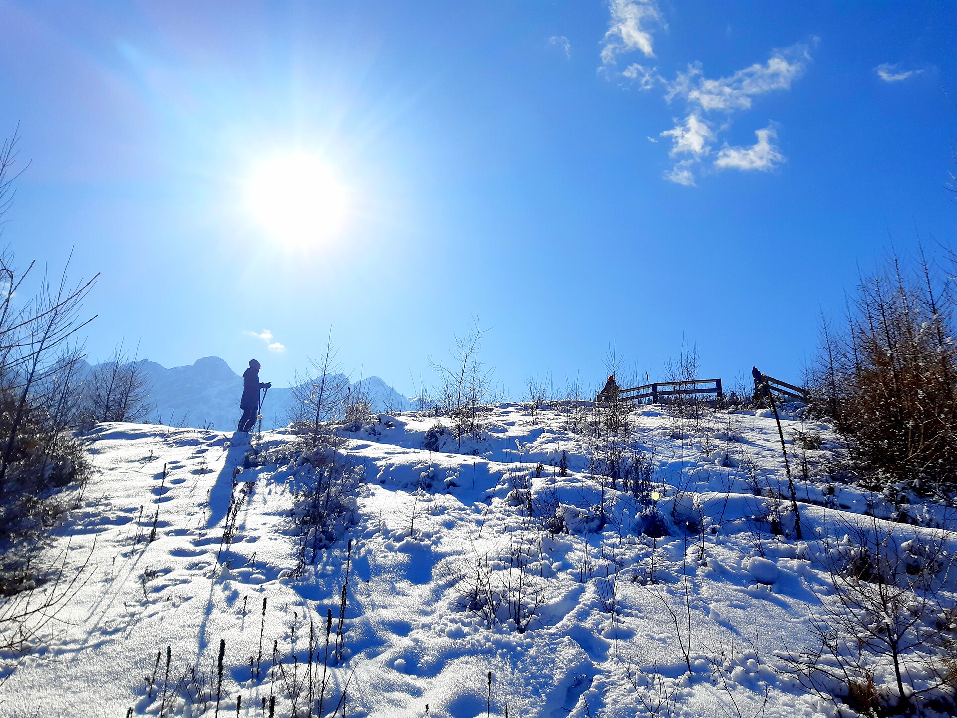 Guided hike: between two mountain worlds - Dolomites Region Kronplatz/Plan de Corones - #3 - suedtirol.info