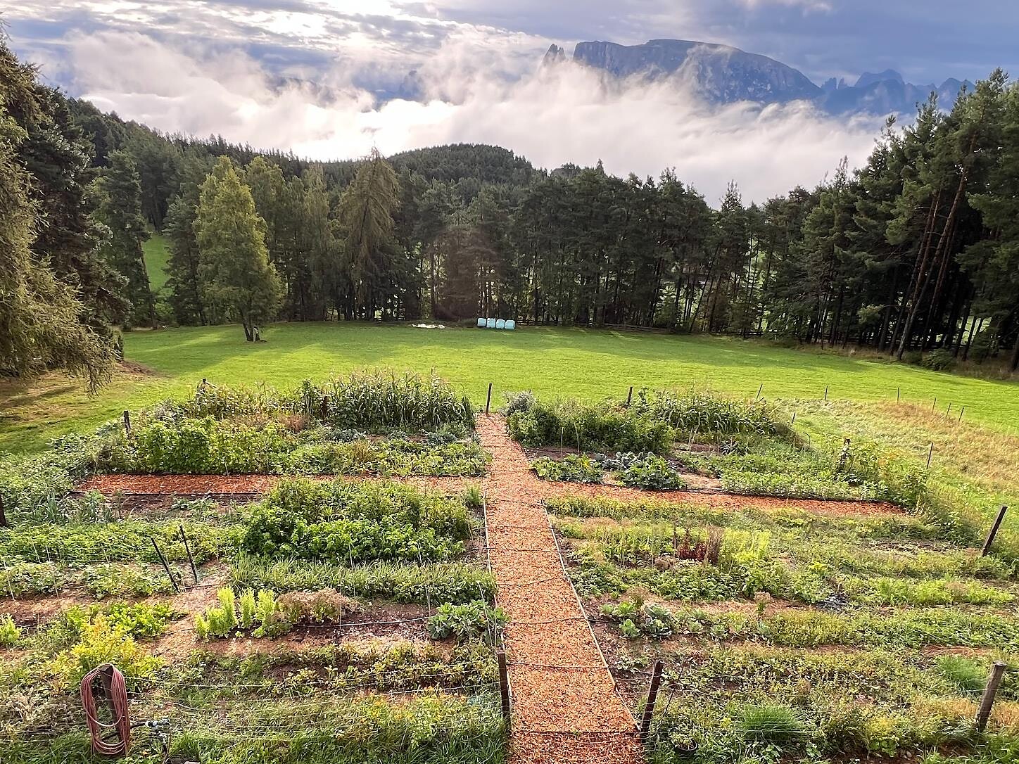 Varietà di sapori a 1300 m – Visita guidata dell’orto con degustazione - Bolzano e dintorni - #1 - suedtirol.info