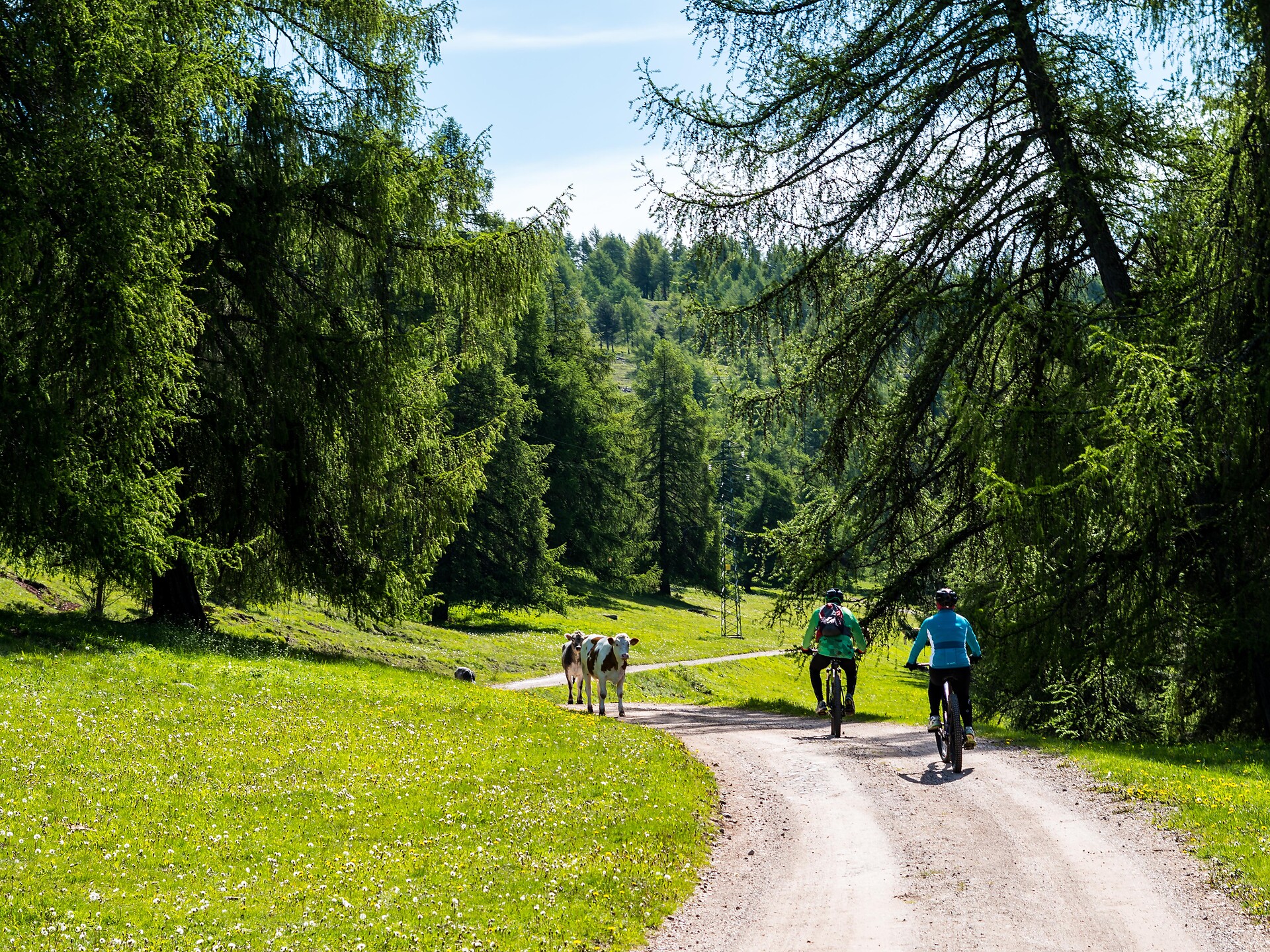 E-Bike Tour guidata (leggera) Meltina 1 suedtirol.info