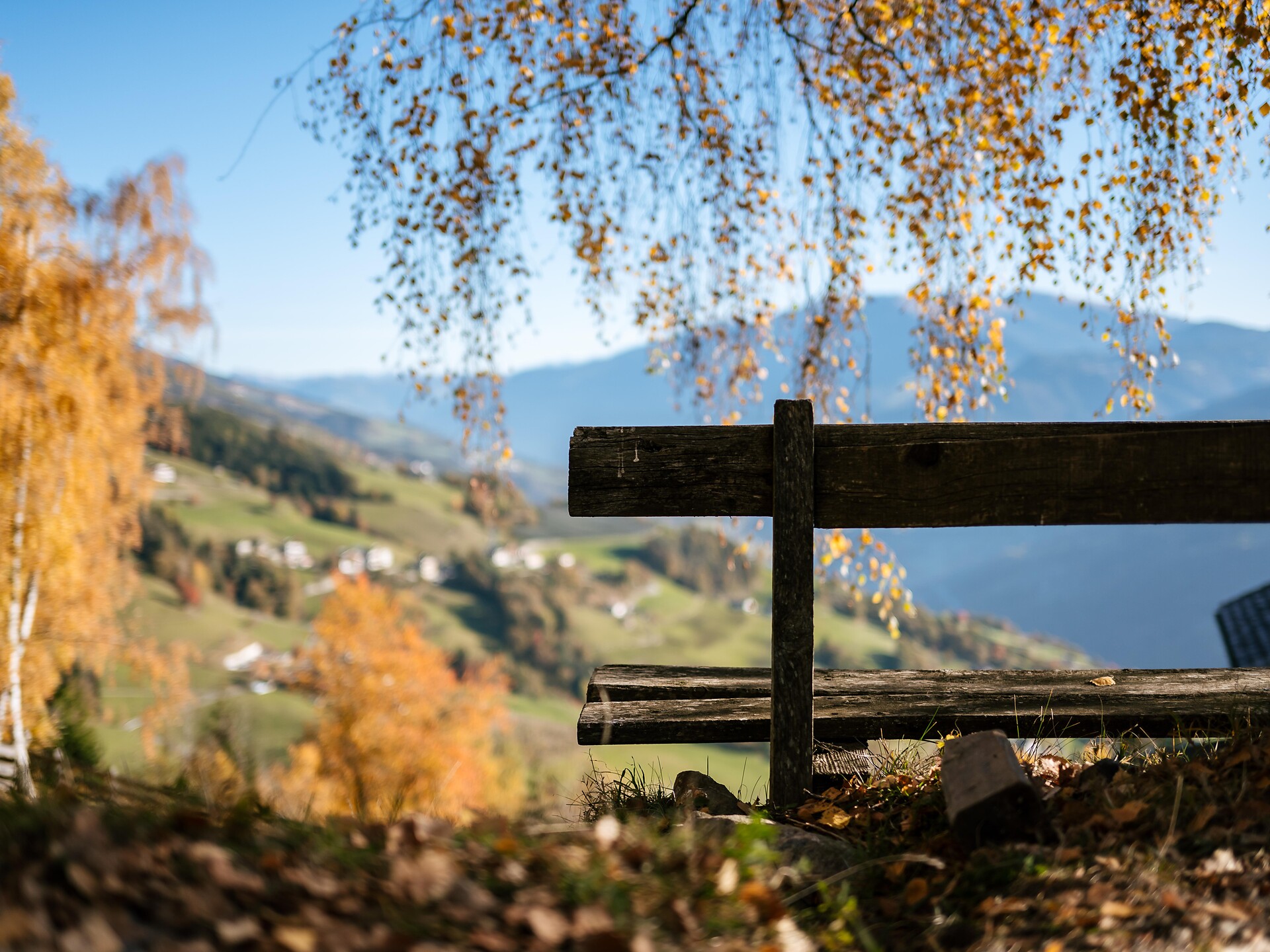 Escursione estiva guidata alle Cascate di Barbiano e Trechiese - Bressanone e dintorni - #3 - suedtirol.info