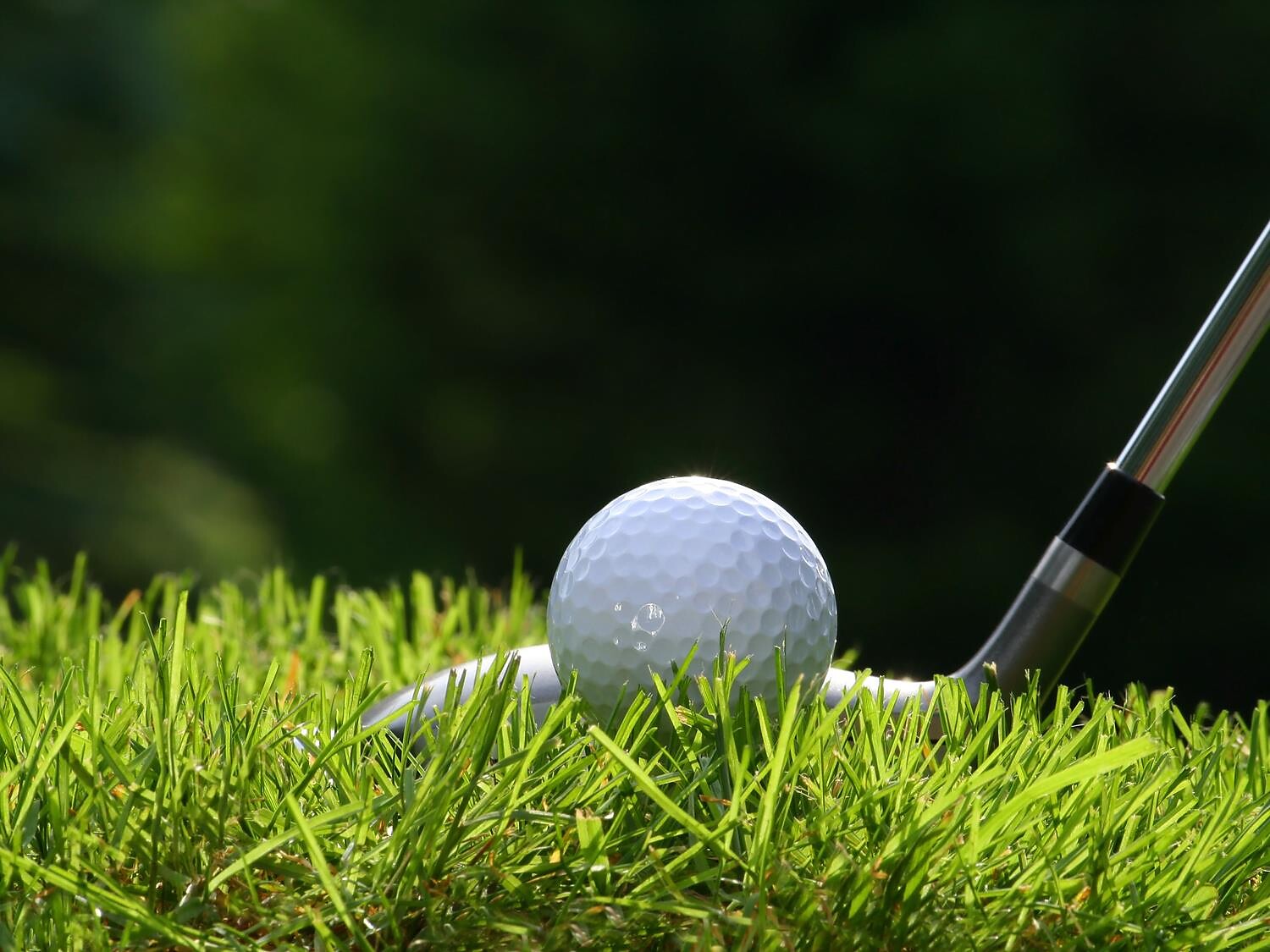 Golf taster course Eppan an der Weinstaße/Appiano sulla Strada del Vino 1 suedtirol.info