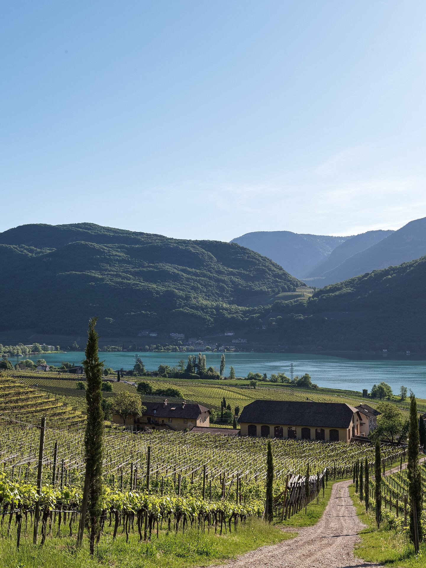 Gourmetherbst: Abendverkostung mit dem Weingut Castel Sallegg - Meran und Umgebung - #4 - suedtirol.info